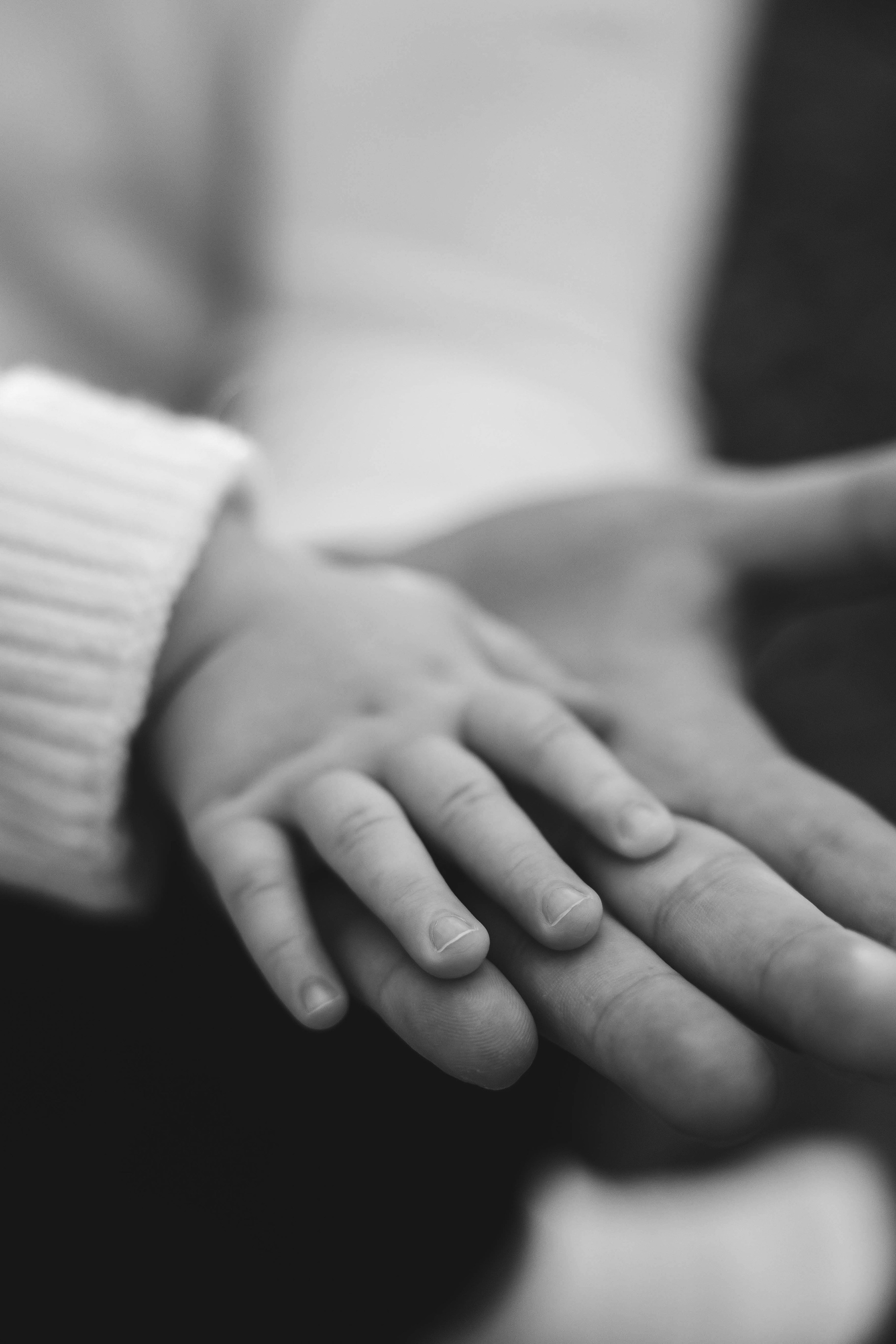 Богдан. Главная