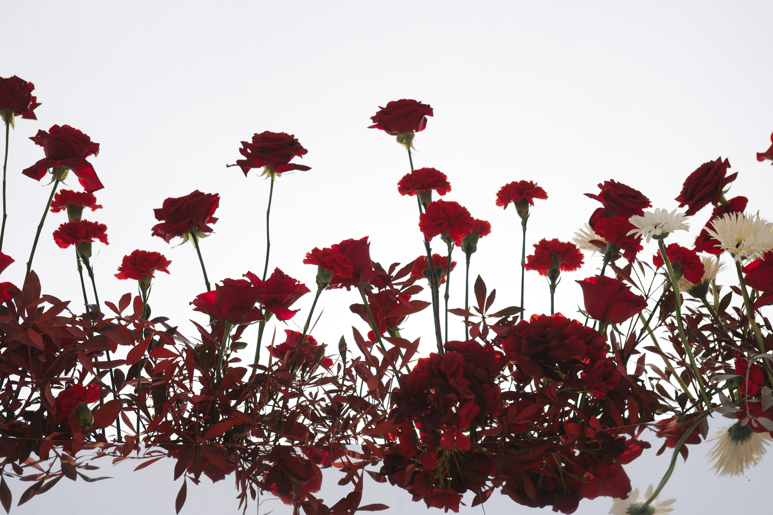 About. Алина Посторонка