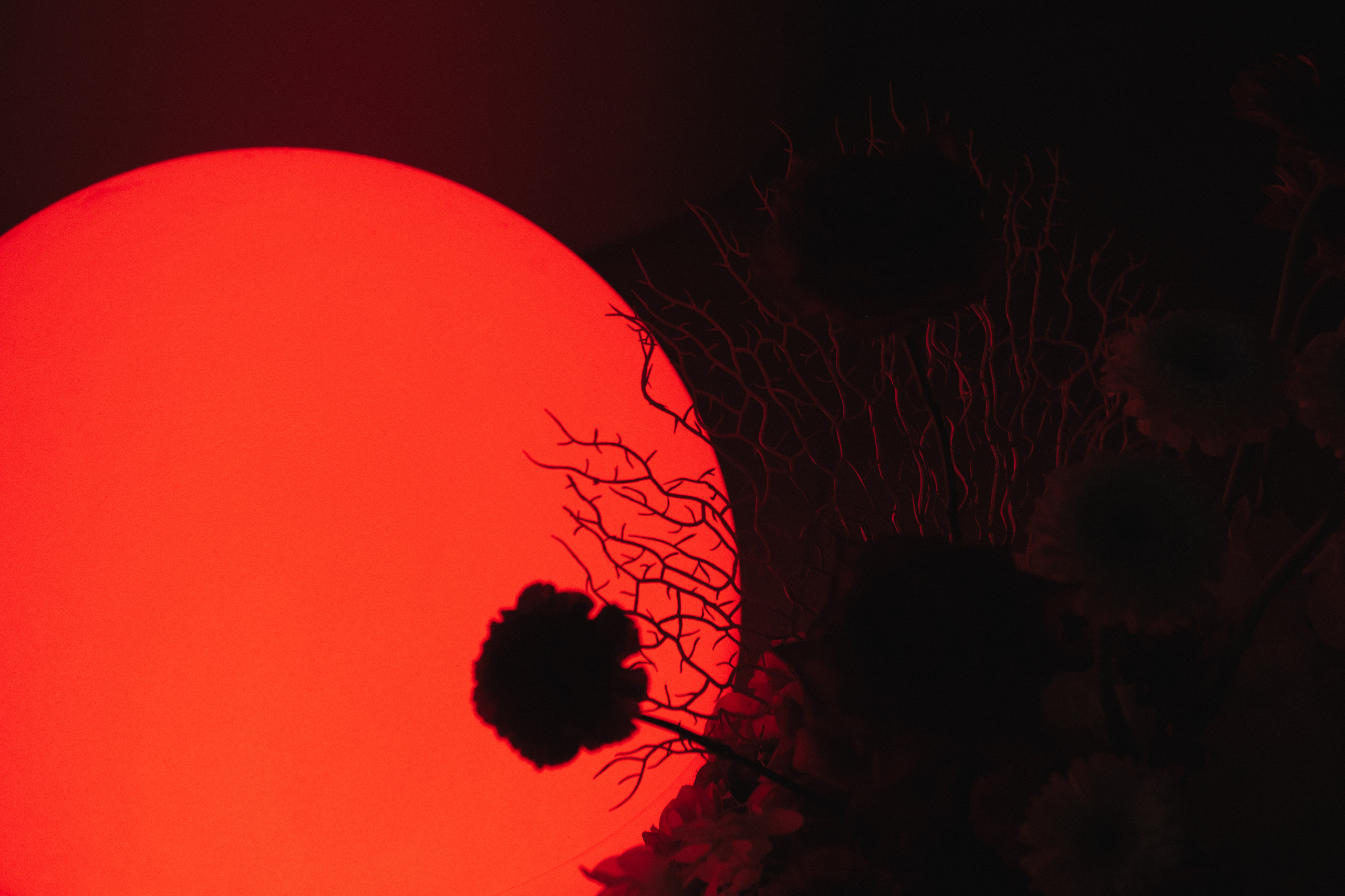 About. Алина Посторонка