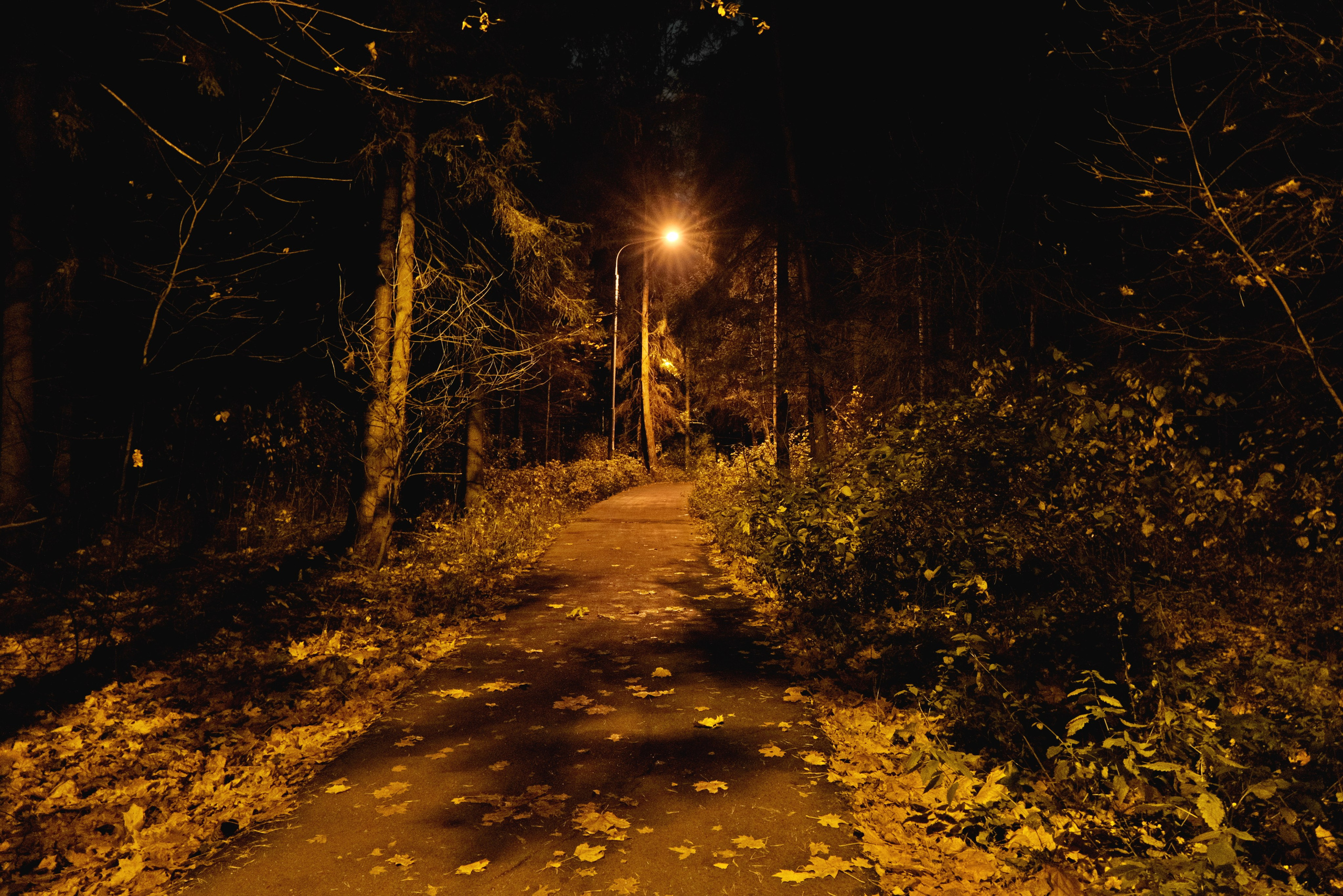 Фотоальбом с разными съёмками