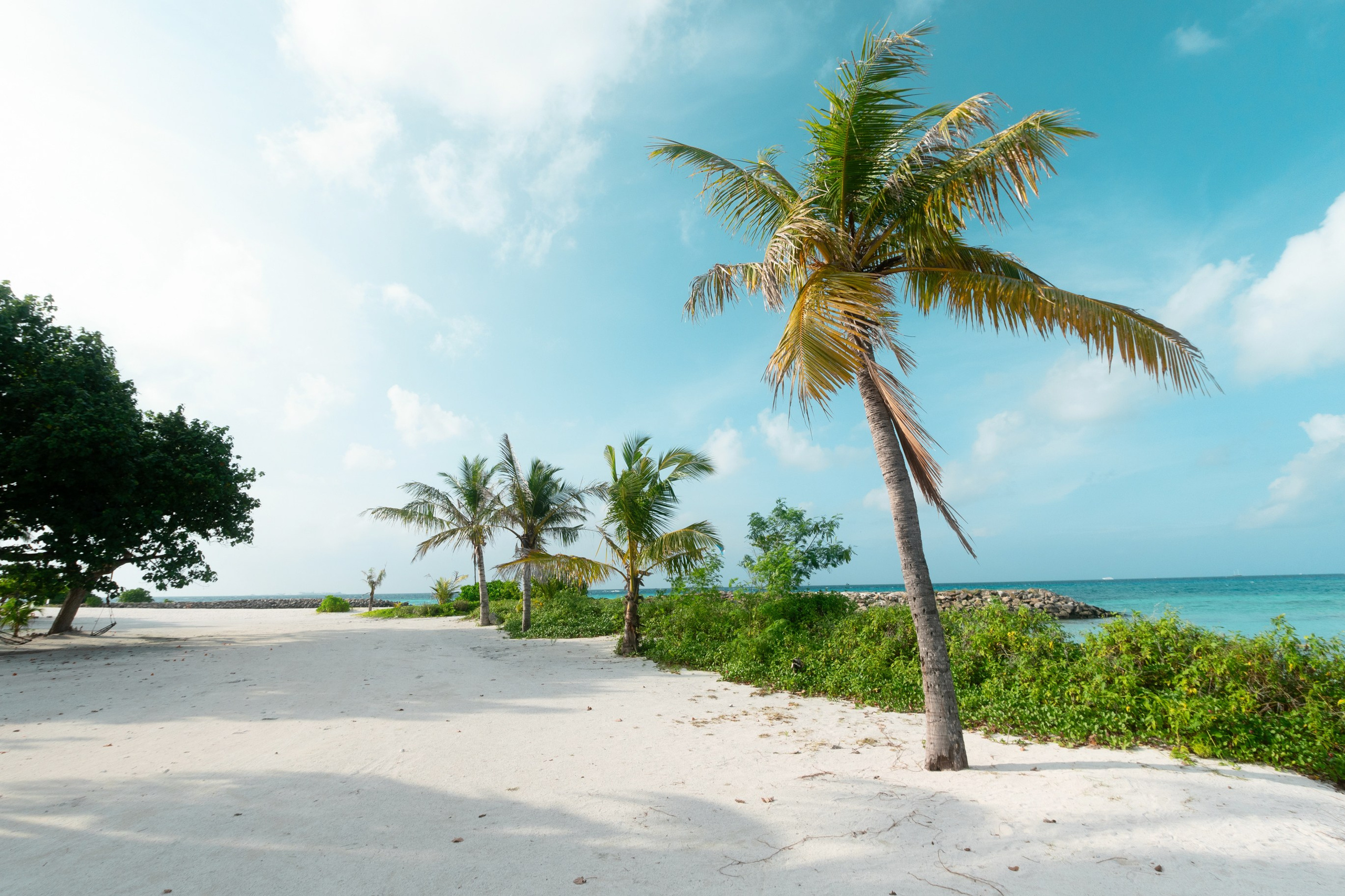 Ktokuda. Фотограф в Хабаровске. Фотография за 24 часа