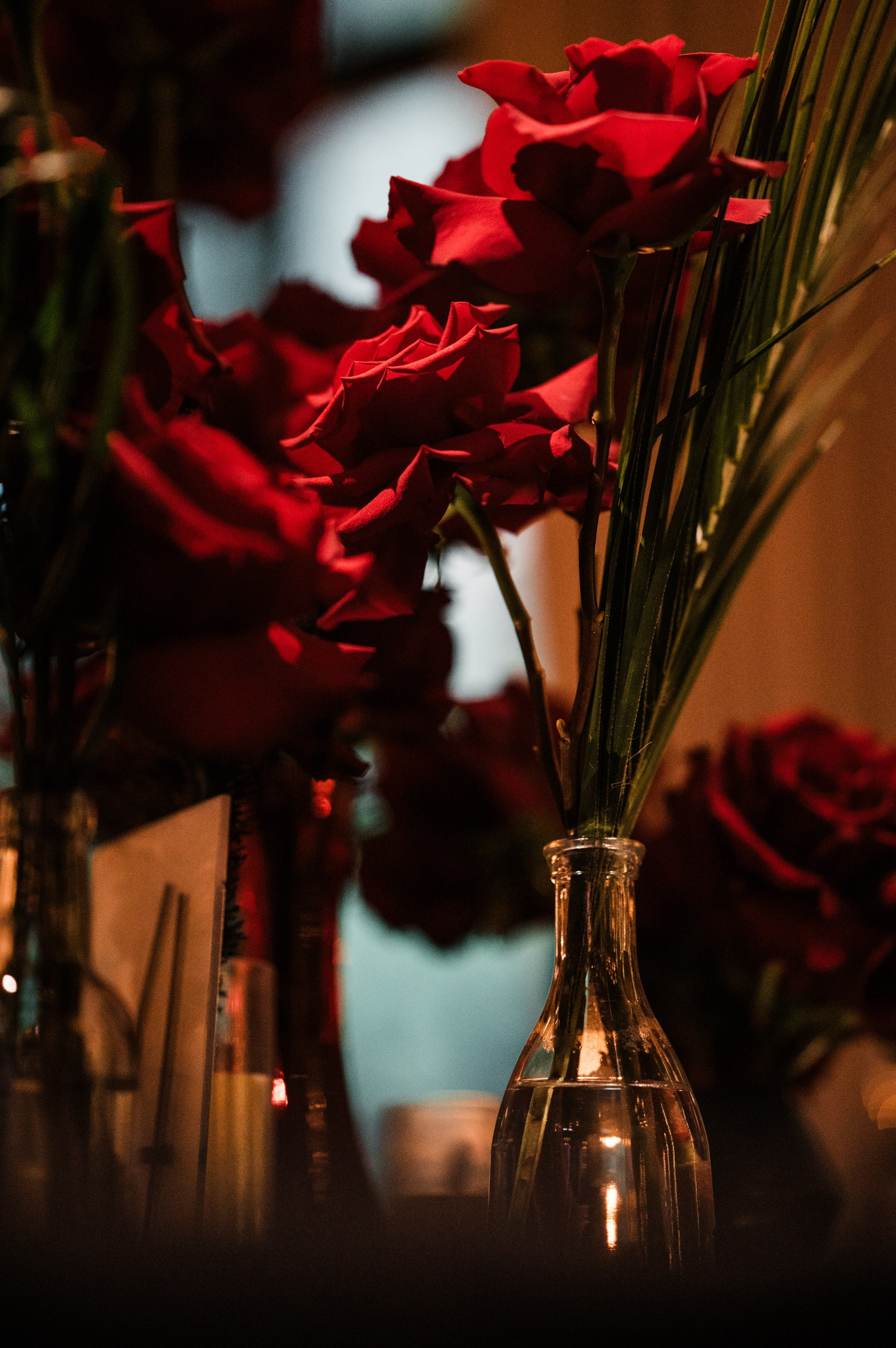 Репортажный фотограф на корпоратив и другие мероприятия. Свадебный и семейный фотограф в Краснодаре Марина Стёпа