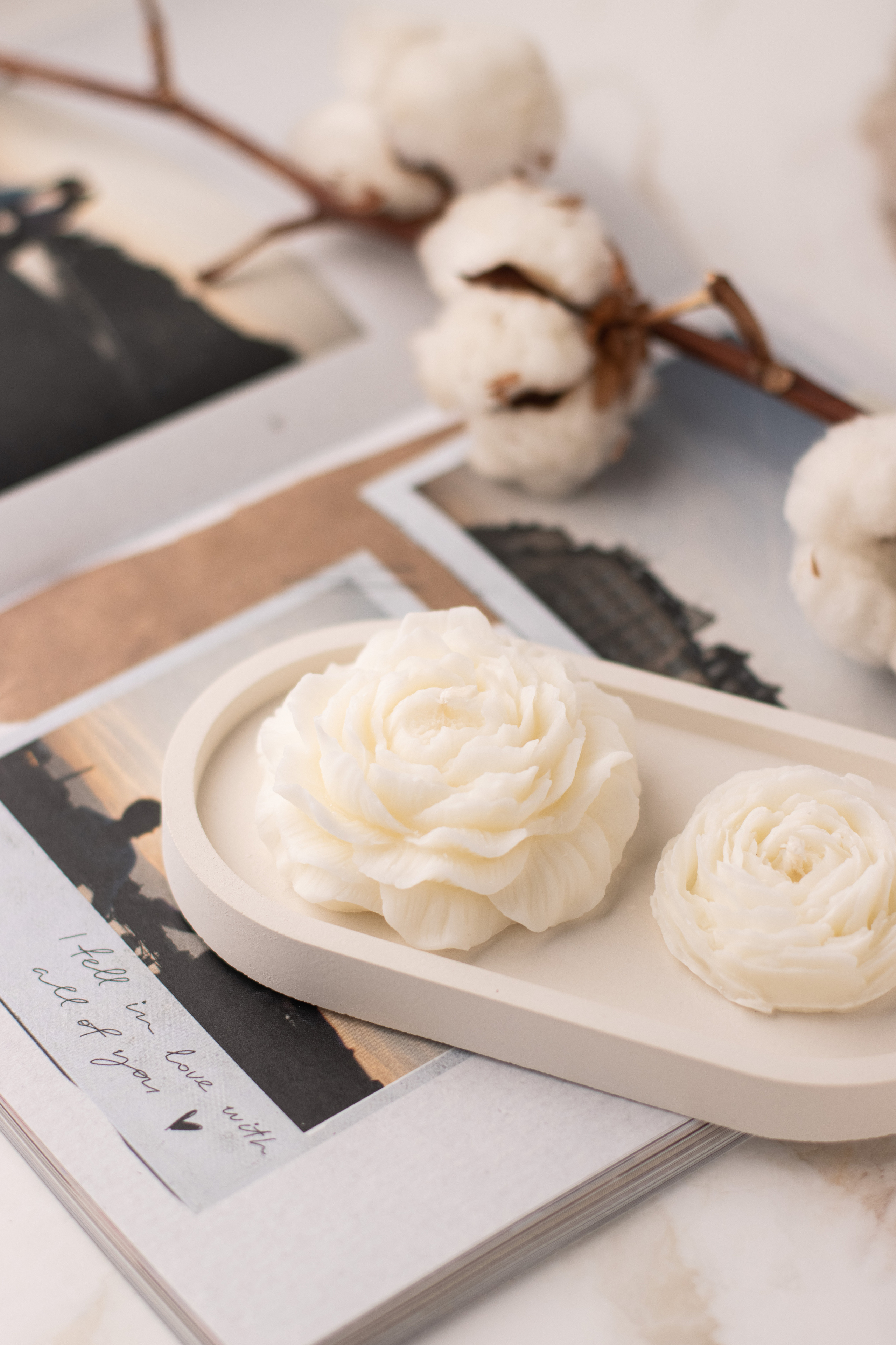 Le Ali. Предметный фотограф в Балашихе Анастасия Михайлова