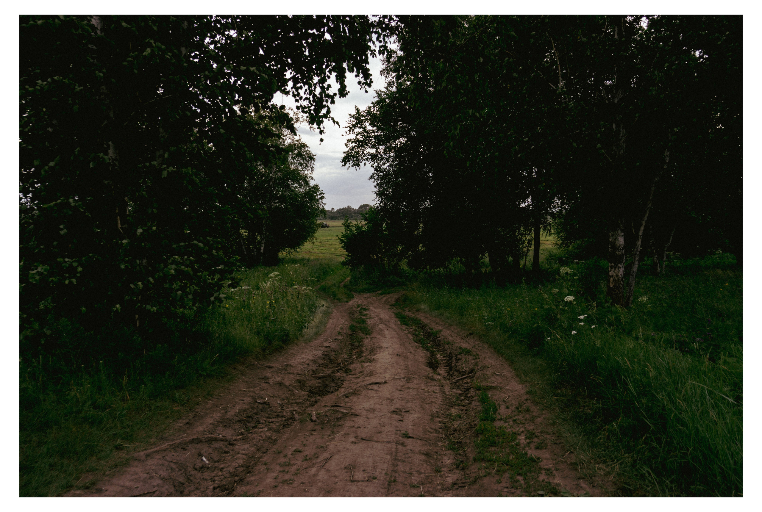 29.06.2025 | Сосновоборск. Kuznetsov | Фотограф в Красноярске