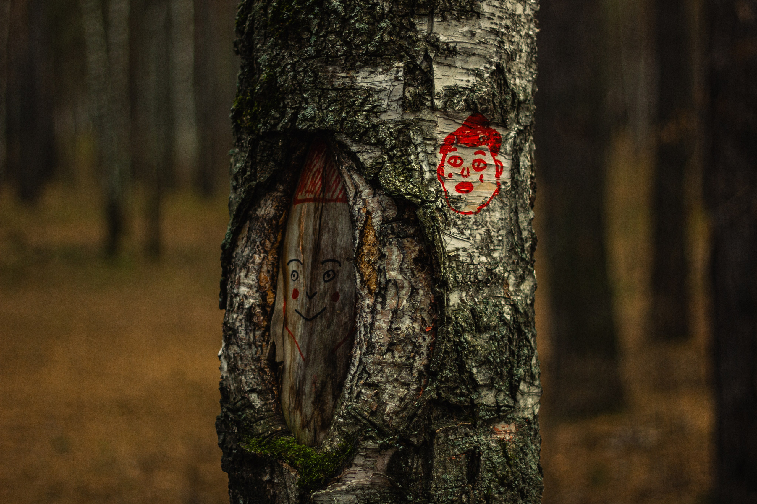 04.11.2024 | Сосновоборск. Kuznetsov | Фотограф в Красноярске