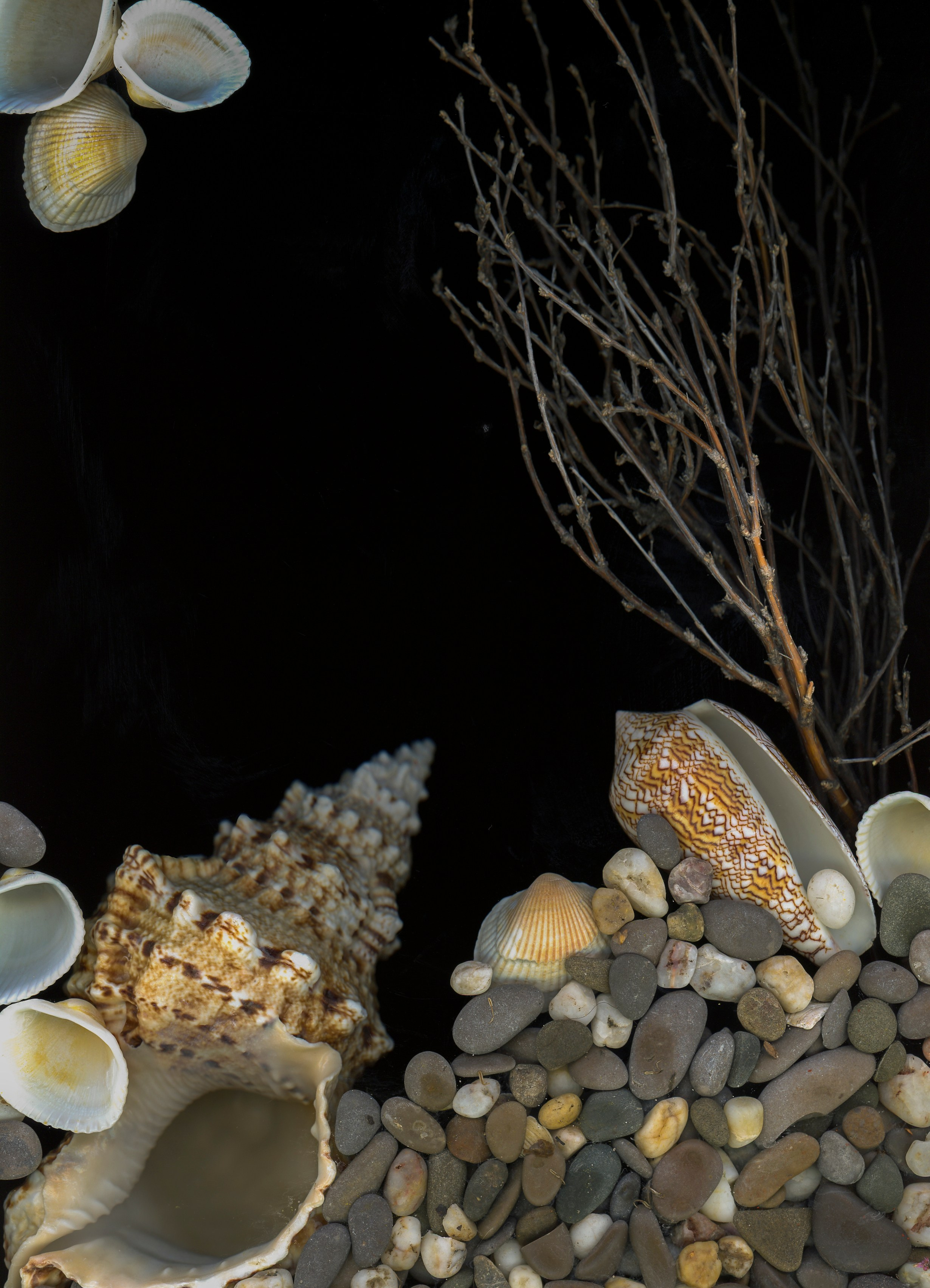 Поэзия цветов. Портретный фотограф в Челябинске Катерина Руди