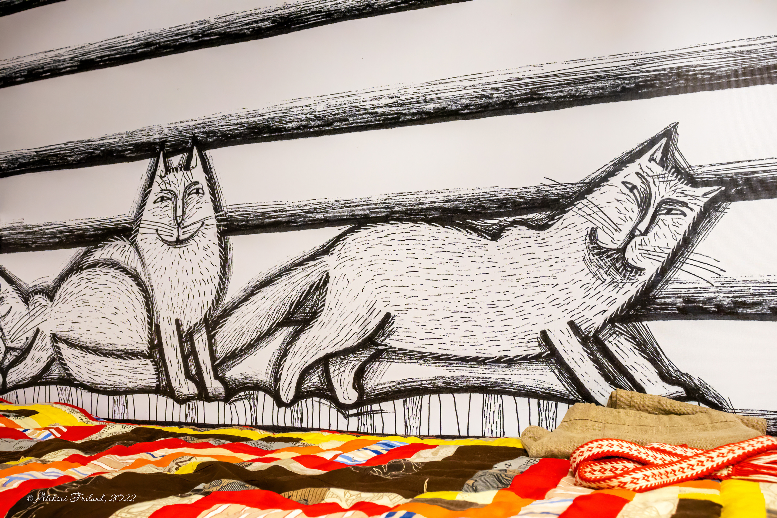 Общественные пространства. Аэросъемка. Фото и Видео в Карелии. Алексей Фрилунд