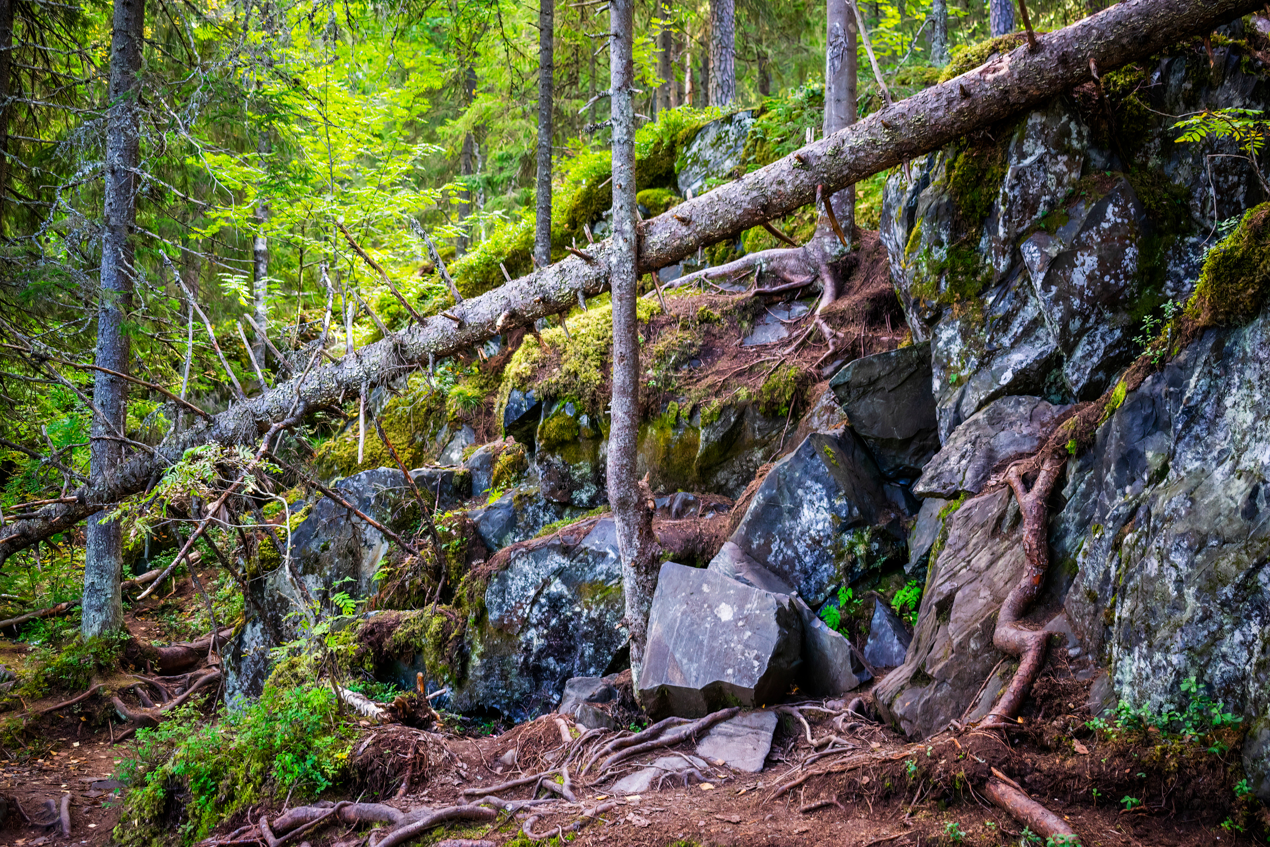 Горный парк Рускеала. Аэросъемка. Фото и Видео в Карелии. Алексей Фрилунд