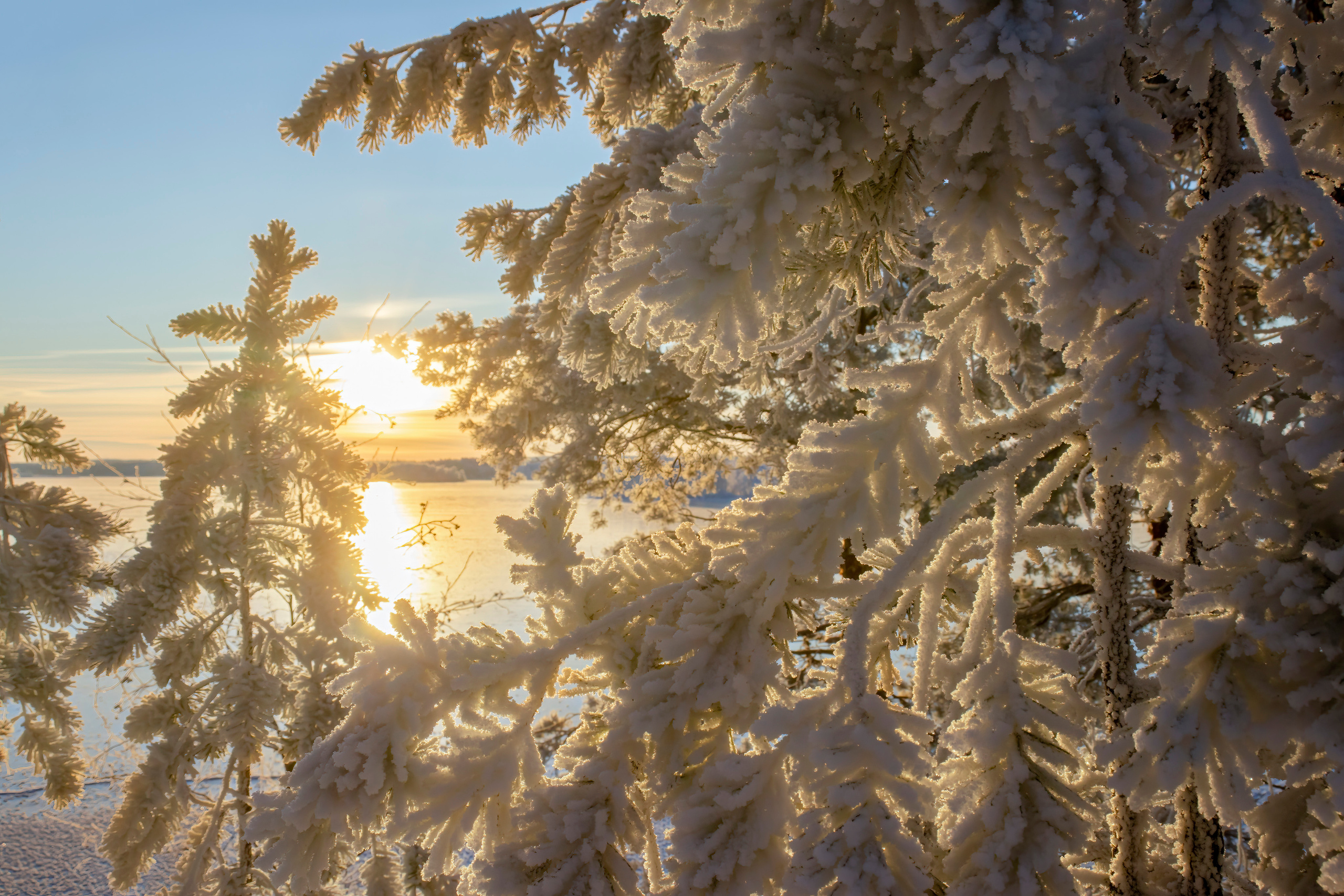 Природа Карелии. Аэросъемка. Фото и Видео в Карелии. Алексей Фрилунд
