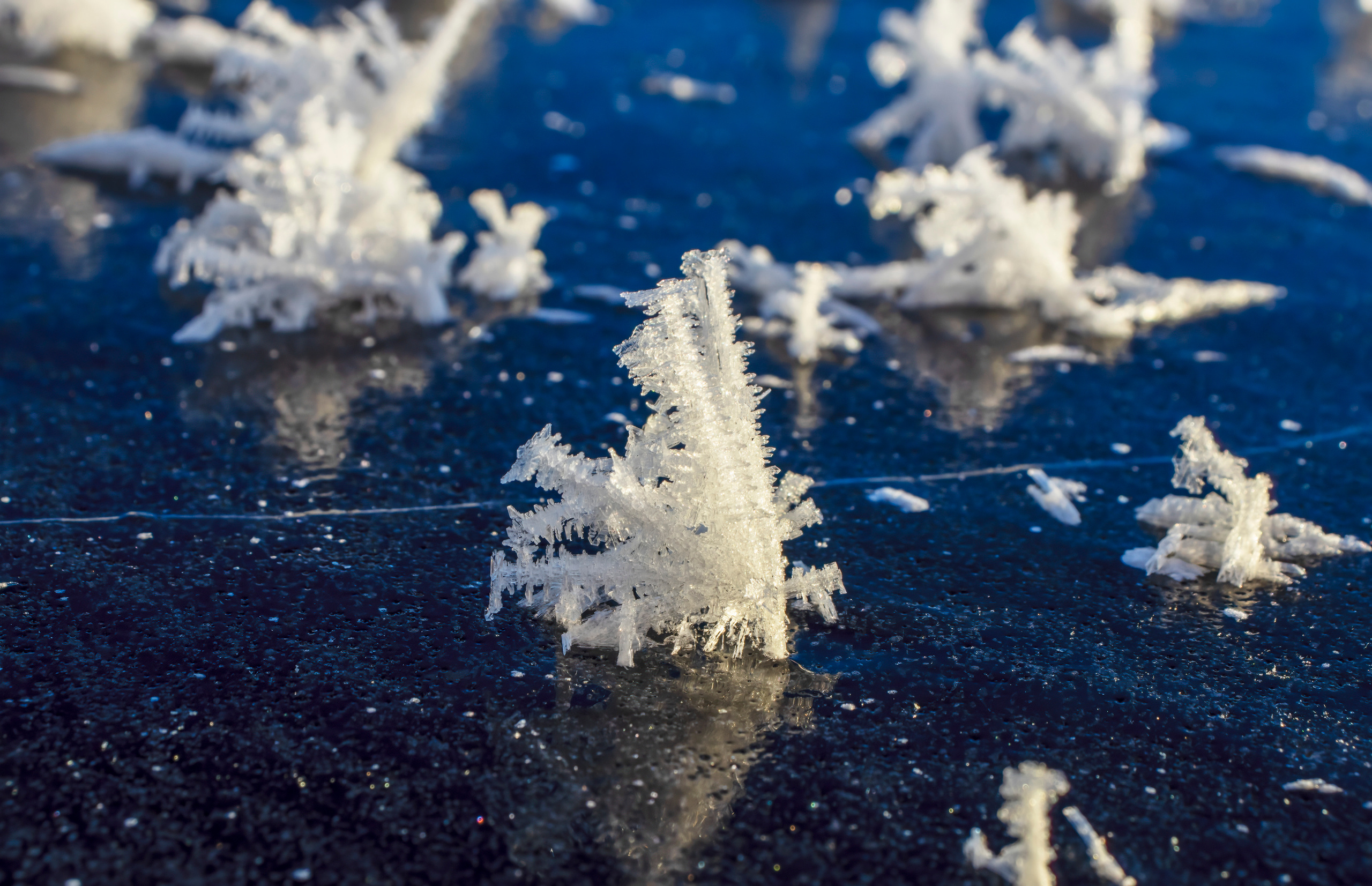 Природа Карелии. Аэросъемка. Фото и Видео в Карелии. Алексей Фрилунд