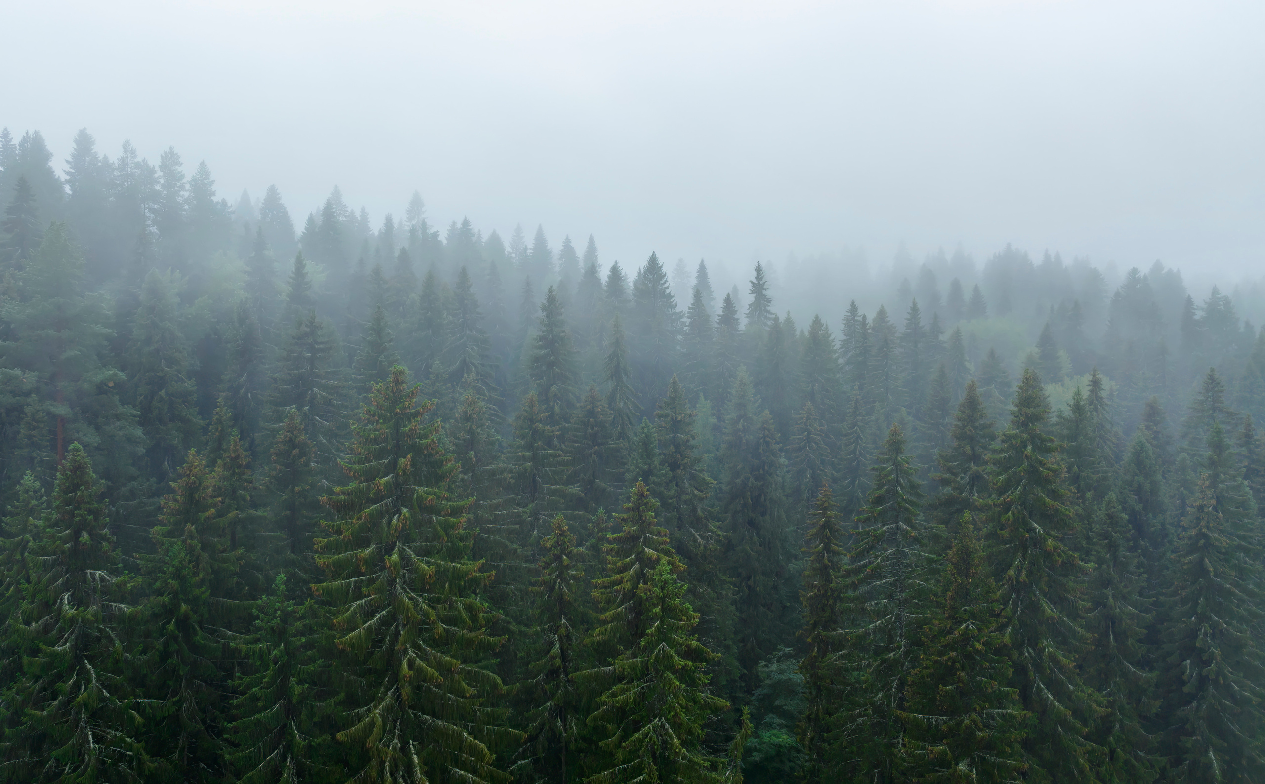 Аэросъемка. Фото и Видео в Карелии. Алексей Фрилунд
