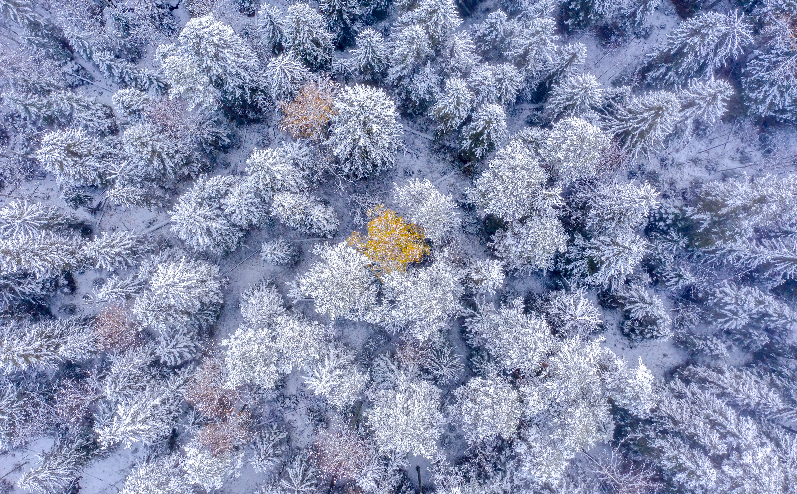 Природа Карелии. Аэросъемка. Фото и Видео в Карелии. Алексей Фрилунд