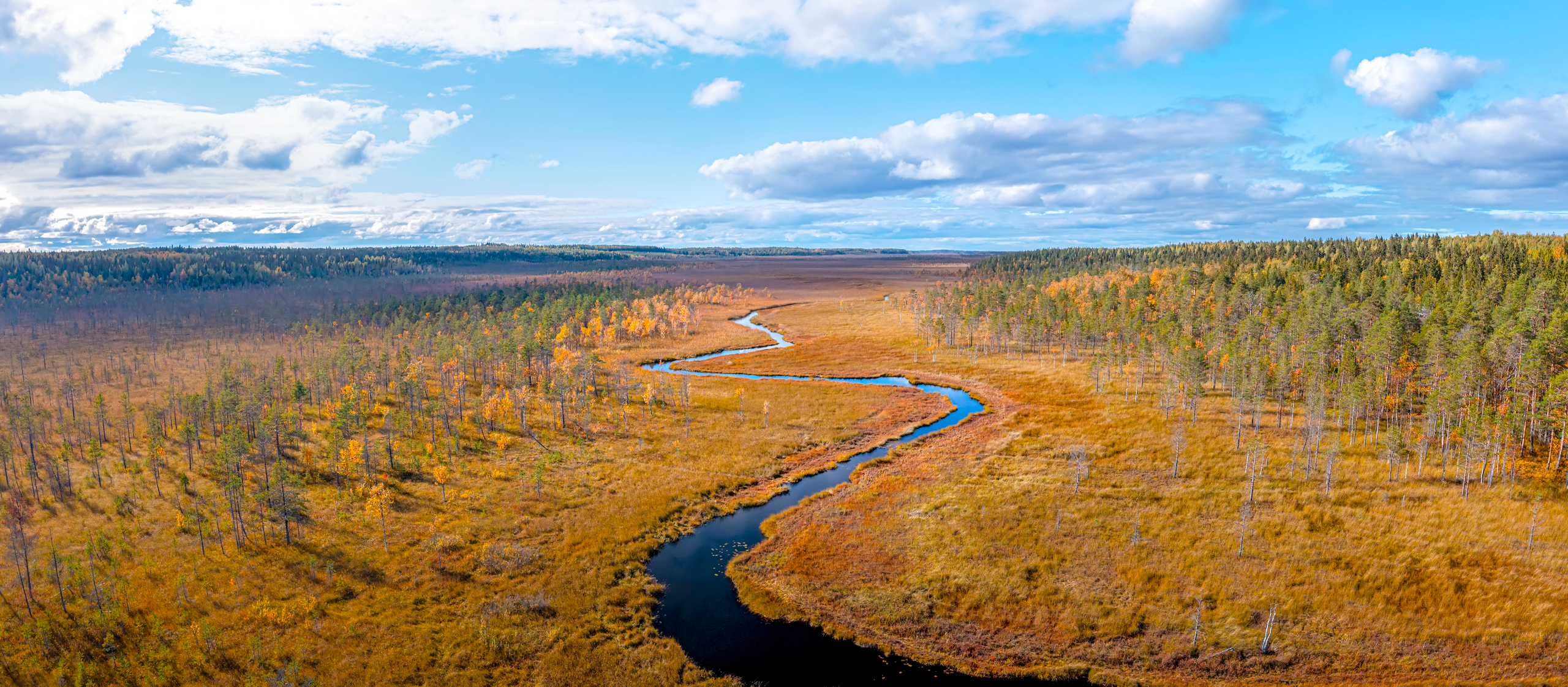 Природа Карелии. Аэросъемка. Фото и Видео в Карелии. Алексей Фрилунд