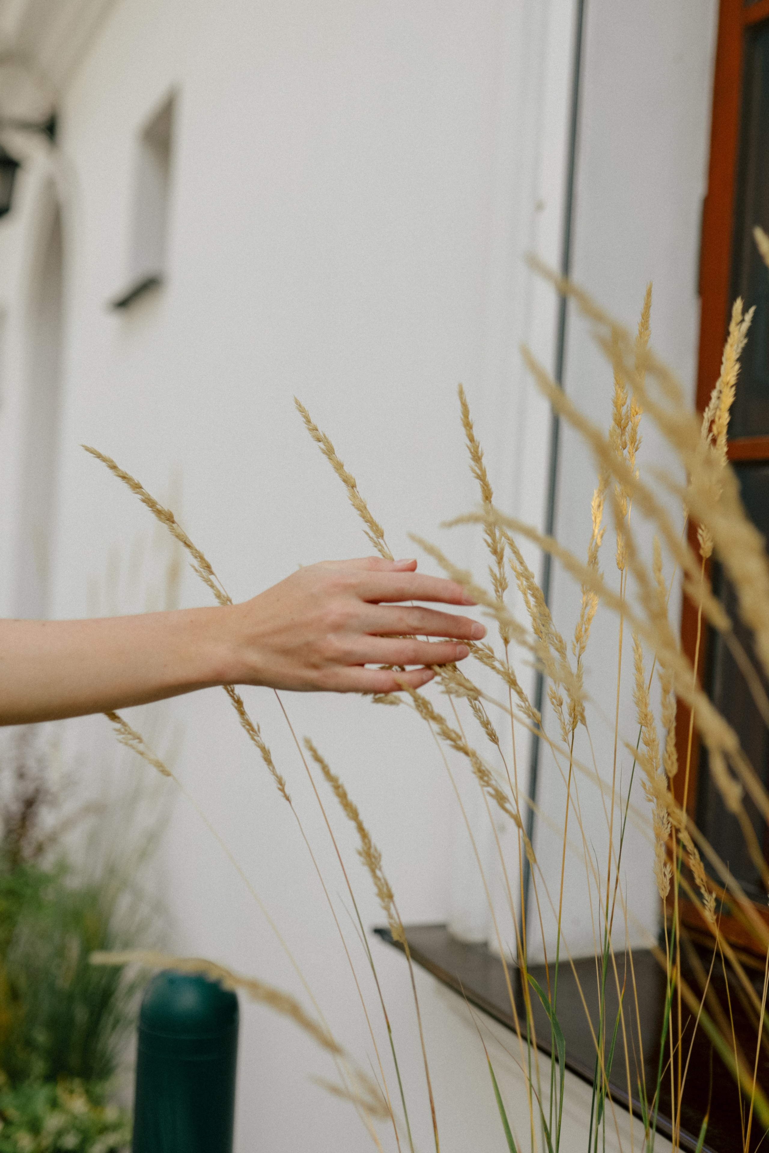Отражаюсь в тебе. Свадебный и семейный фотограф в Варшаве