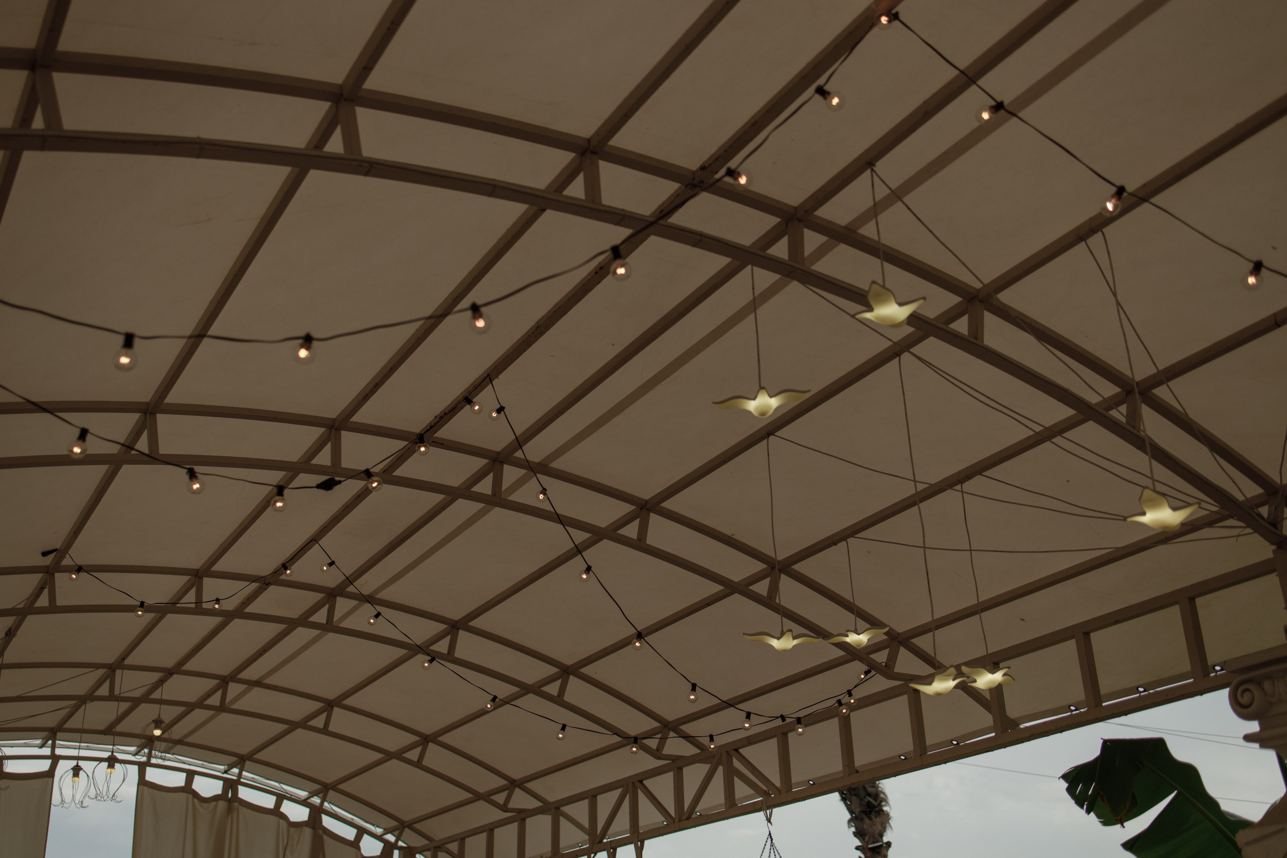 --. Фотограф Пятигорска Кисловодск Домбай Архыз