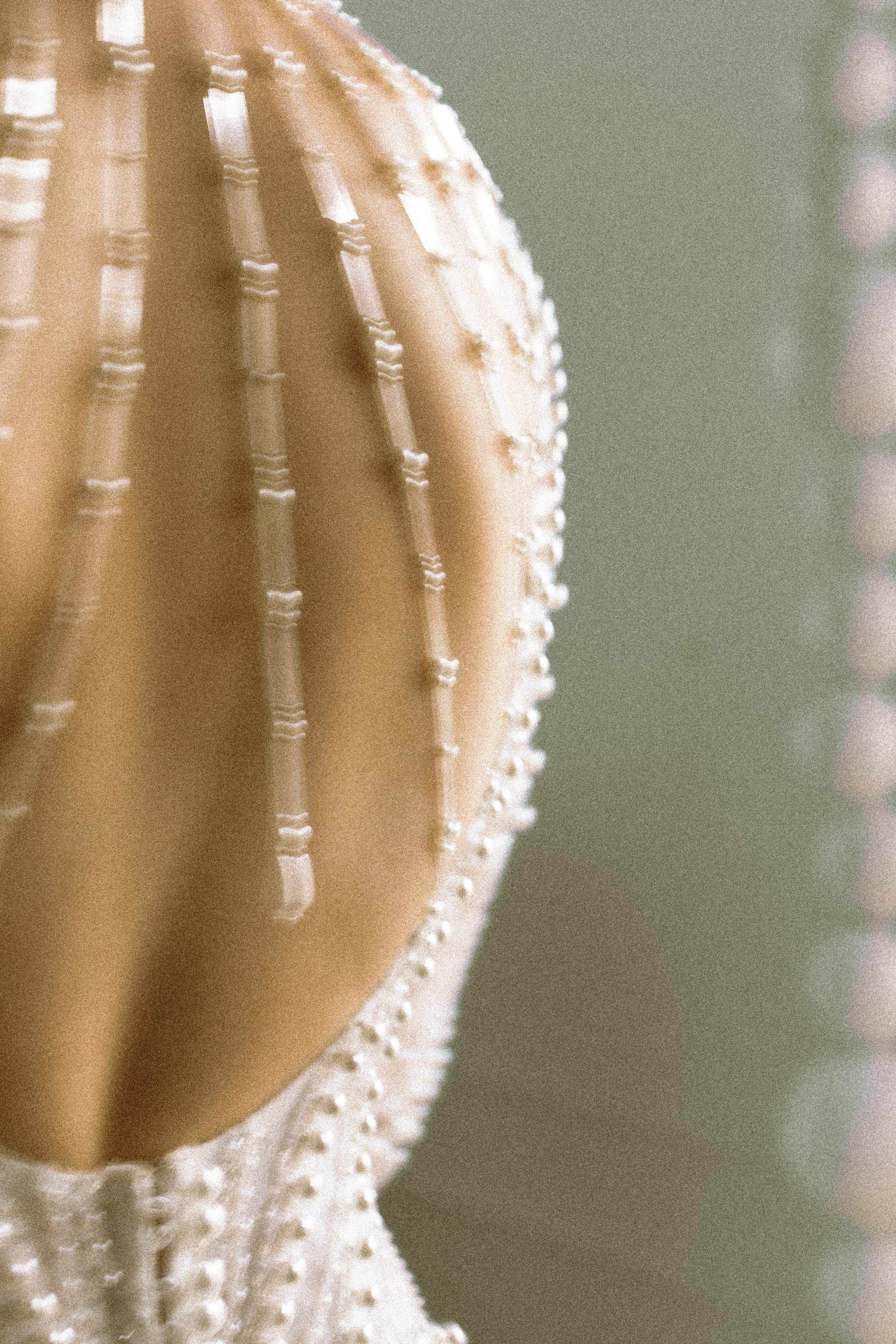 KYRAJE ЗАКУЛИСЬЕ. Фотограф Элла Ефимова