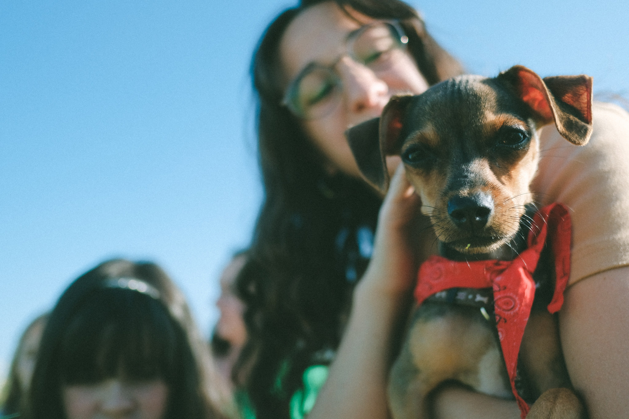 Ждановы в ромашках. Женский и семейный фотограф в Краснодаре и крае Таня Мустафина