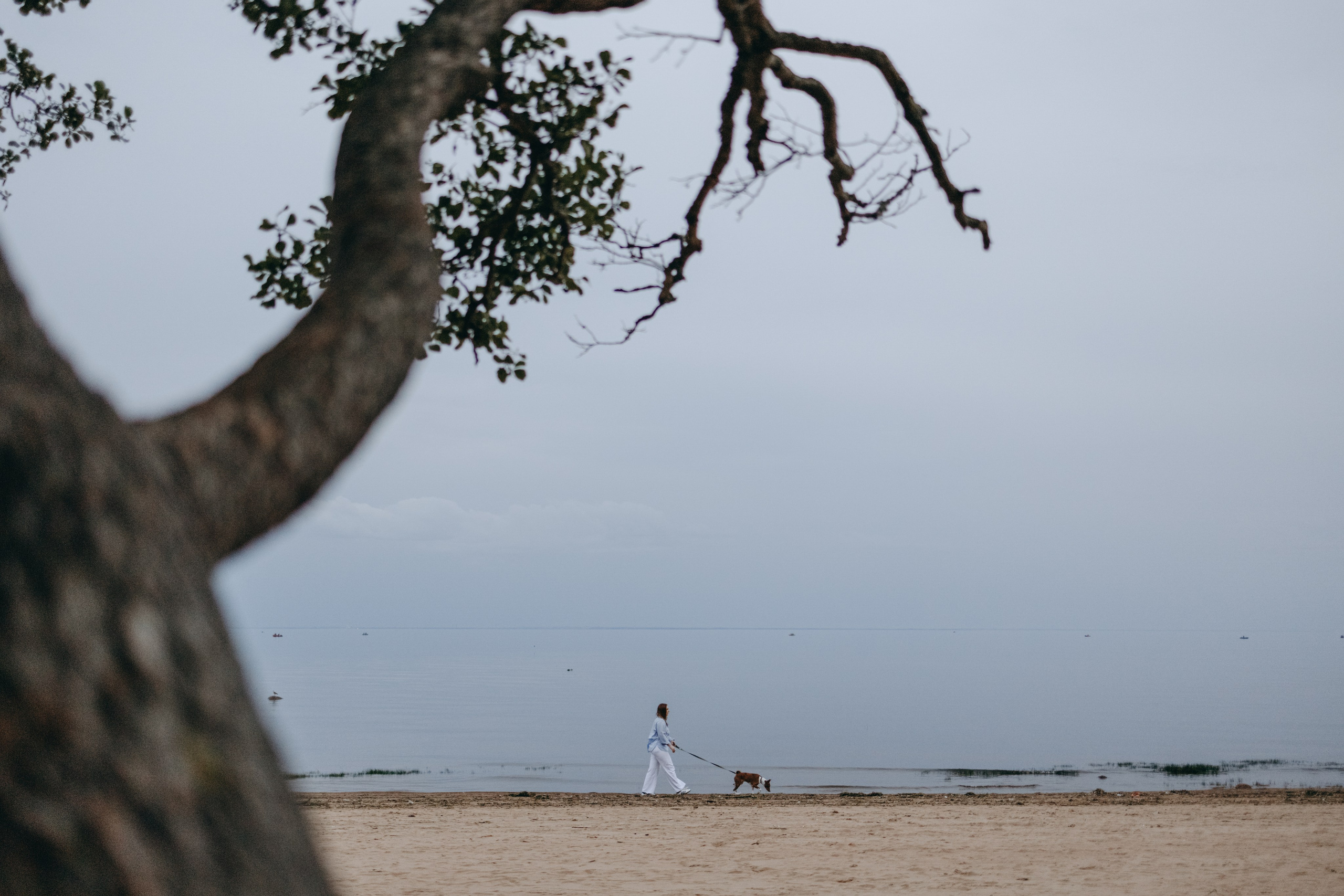 Даша и Арчи. Фотограф — Анималист | Санкт-Петербург