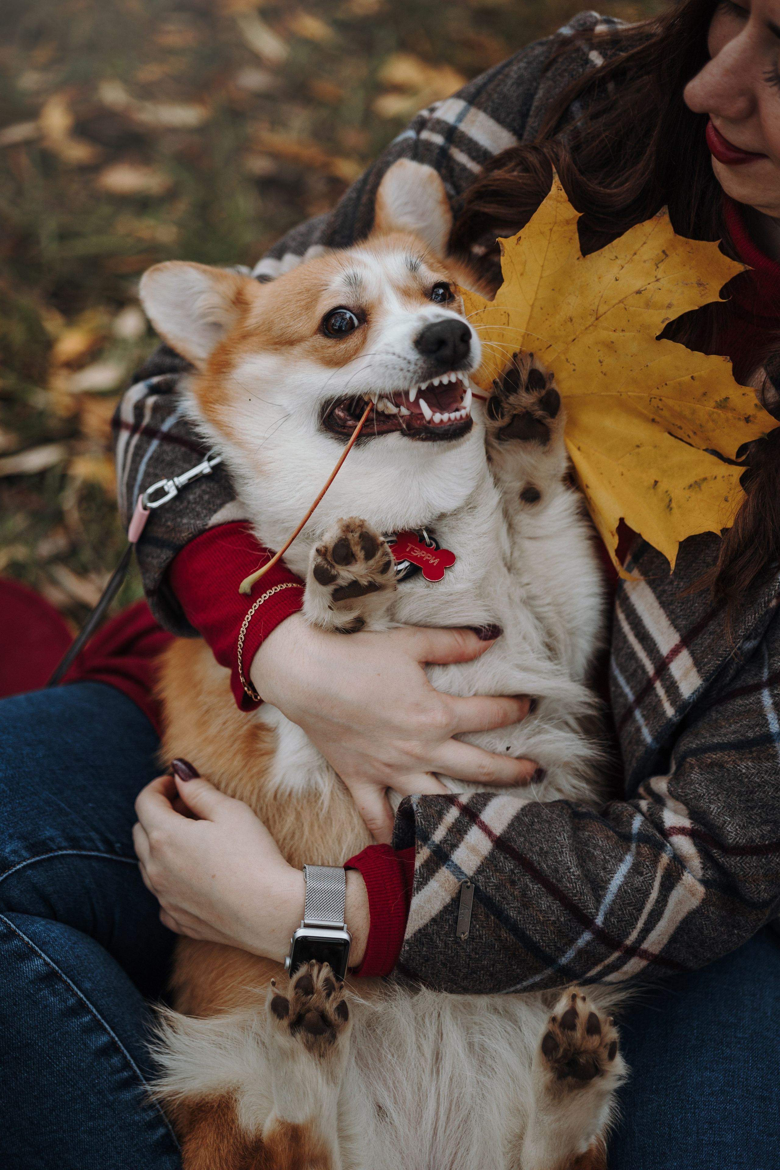 Юля и Терри. Фотограф — Анималист | Санкт-Петербург