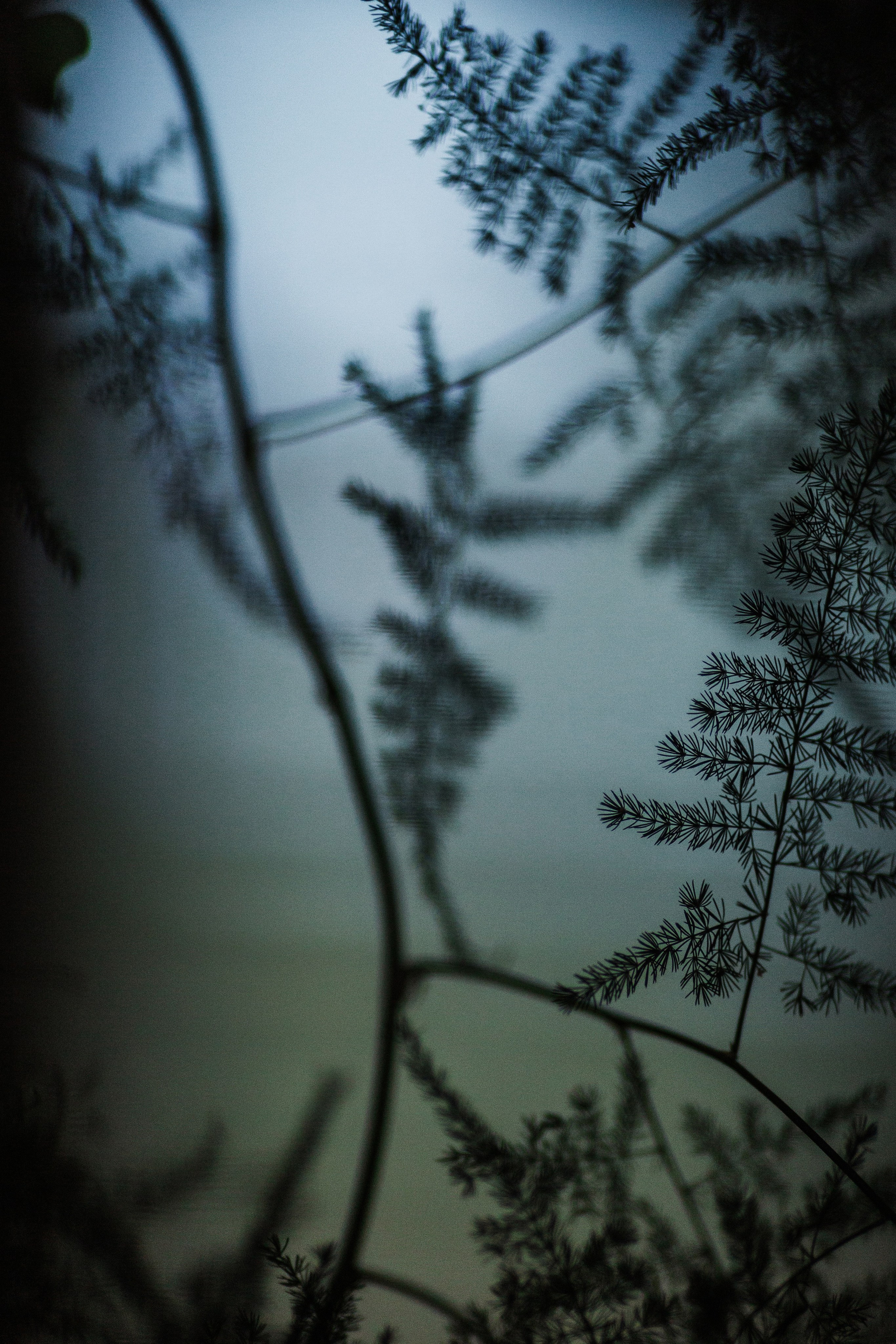 Павел и Дарья. Фотограф Айвазова Наталья Краснодар