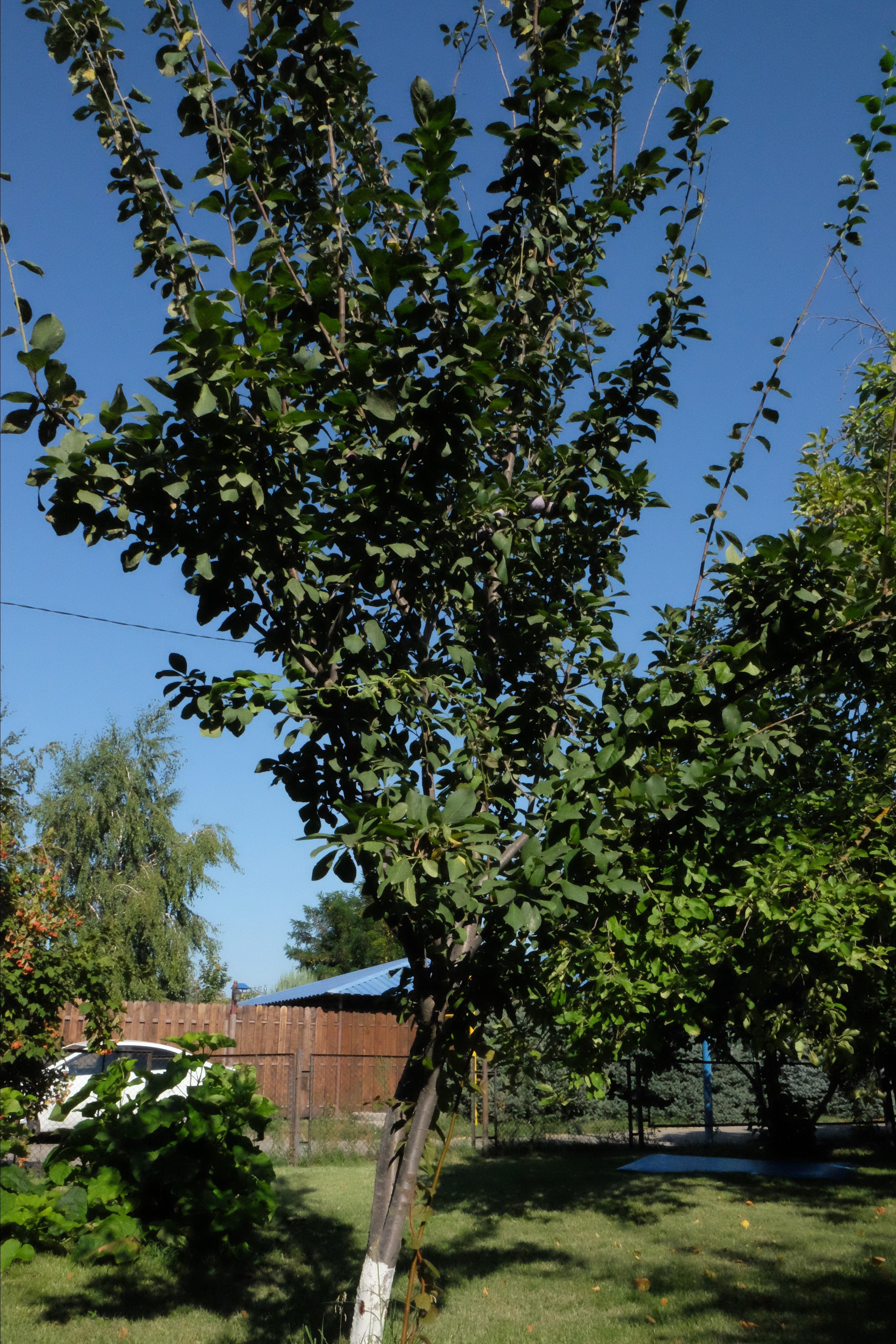 Фотогалерея. База отдыха «Речная слобода» в Астраханской области