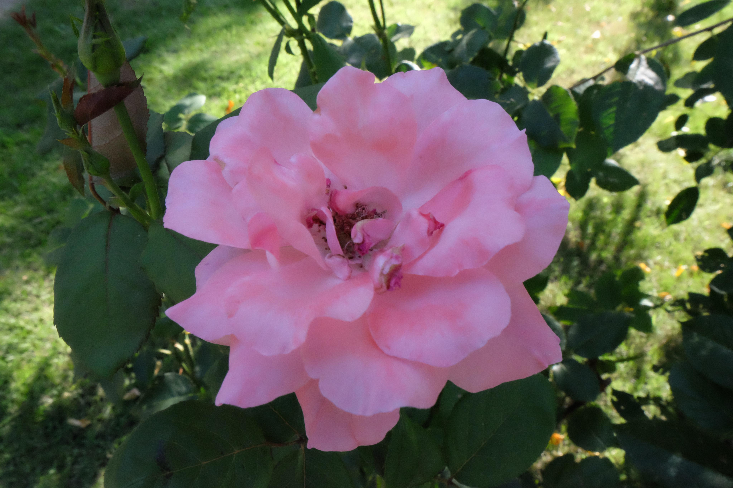 Фотогалерея. База отдыха «Речная слобода» в Астраханской области