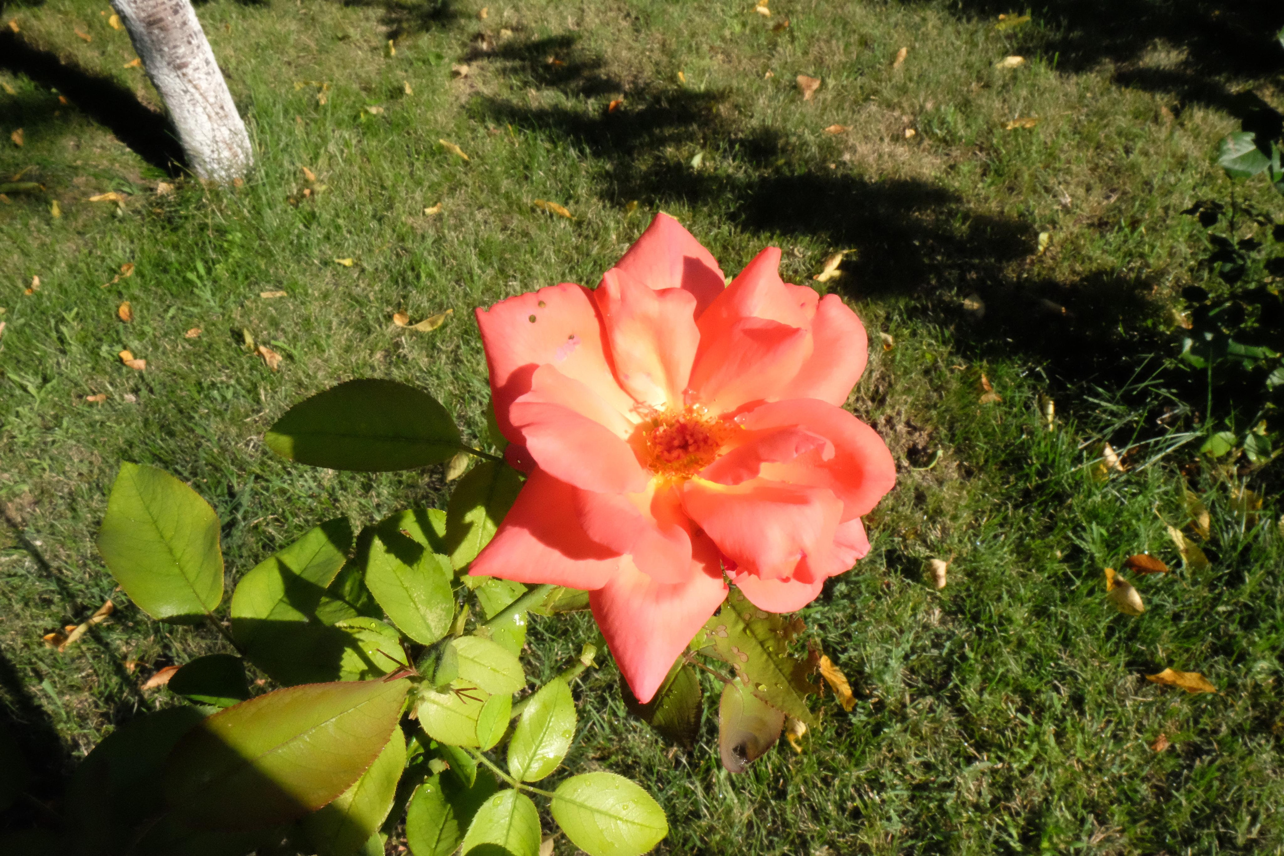 Фотогалерея. База отдыха «Речная слобода» в Астраханской области