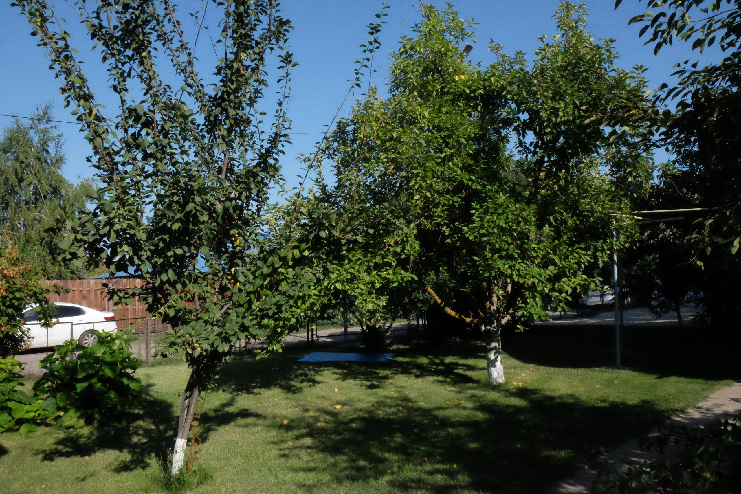 Фотогалерея. База отдыха «Речная слобода» в Астраханской области