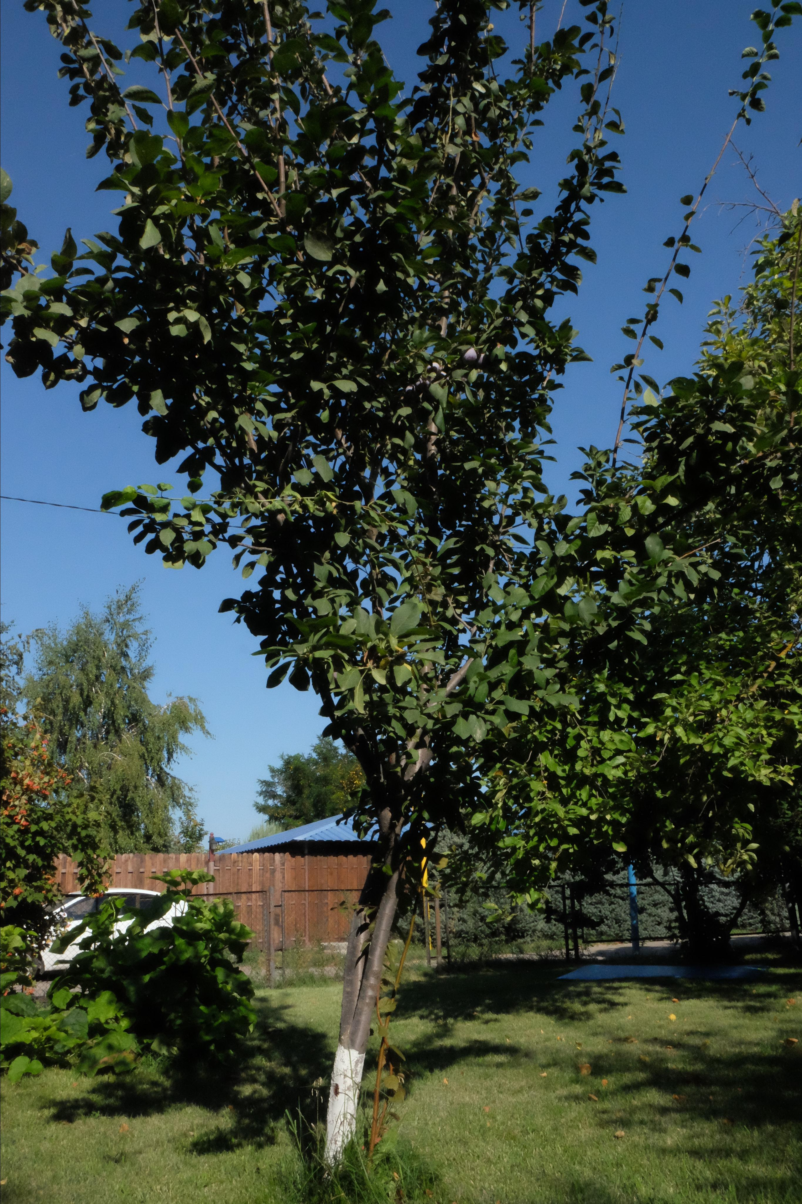 Фотогалерея. База отдыха «Речная слобода» в Астраханской области