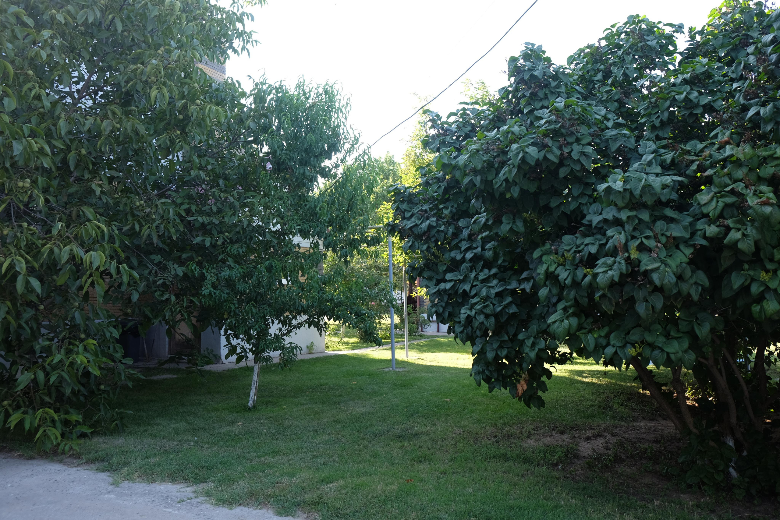 Фотогалерея. База отдыха «Речная слобода» в Астраханской области