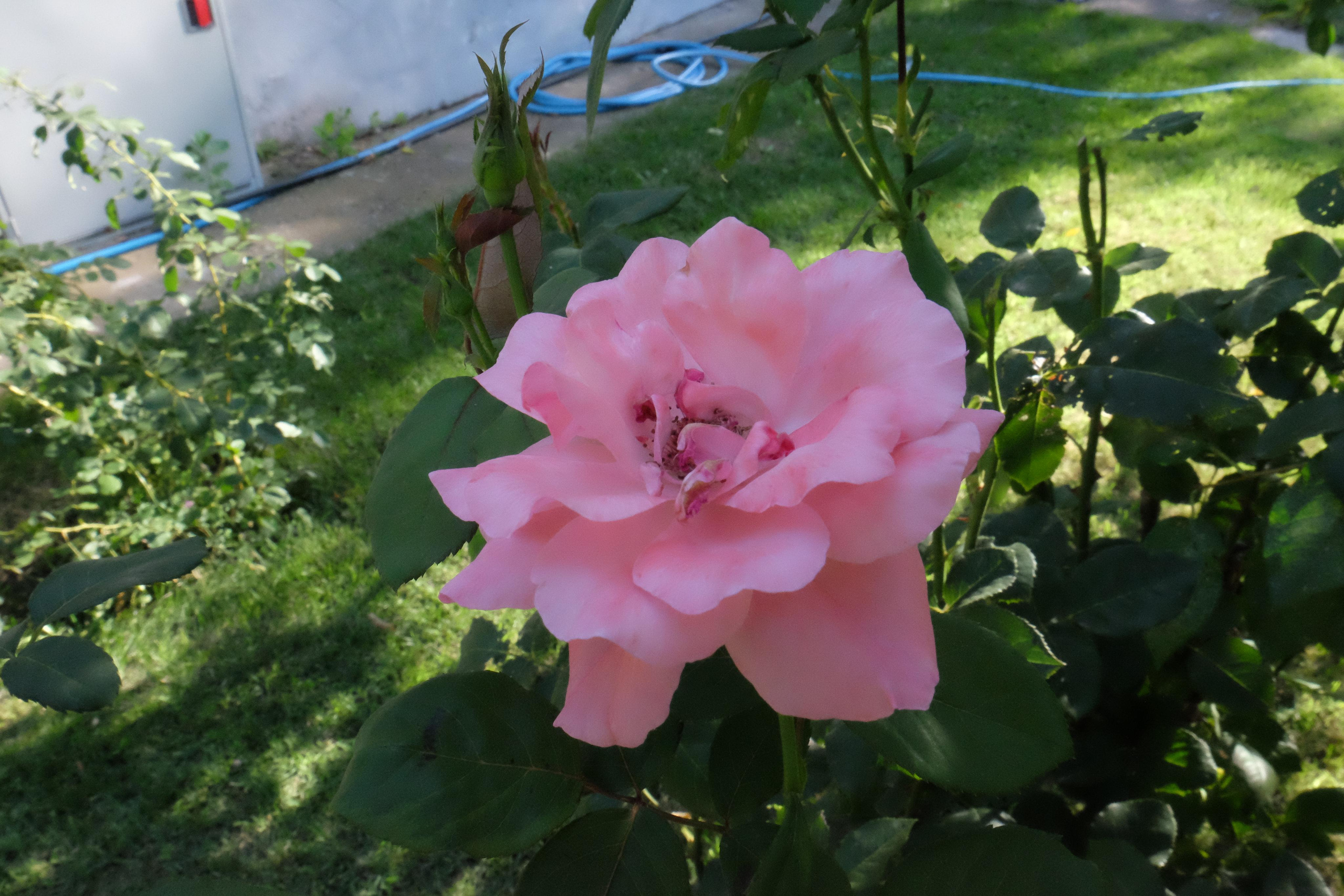 Фотогалерея. База отдыха «Речная слобода» в Астраханской области