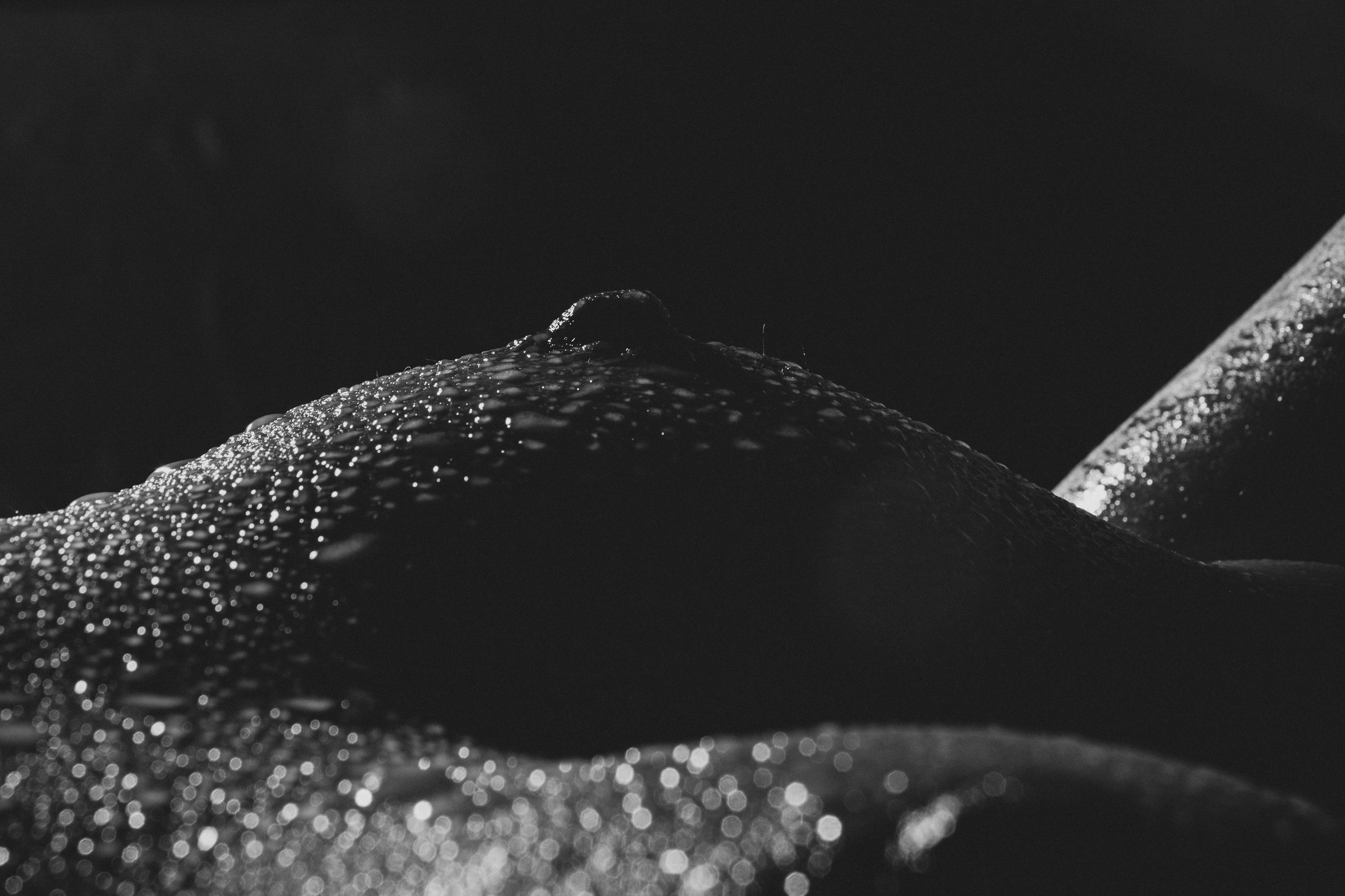 Будуарная и Ню-Фотосессия в СПб. Фото и Видеосъемка на ваше мероприятие. Александр Романов