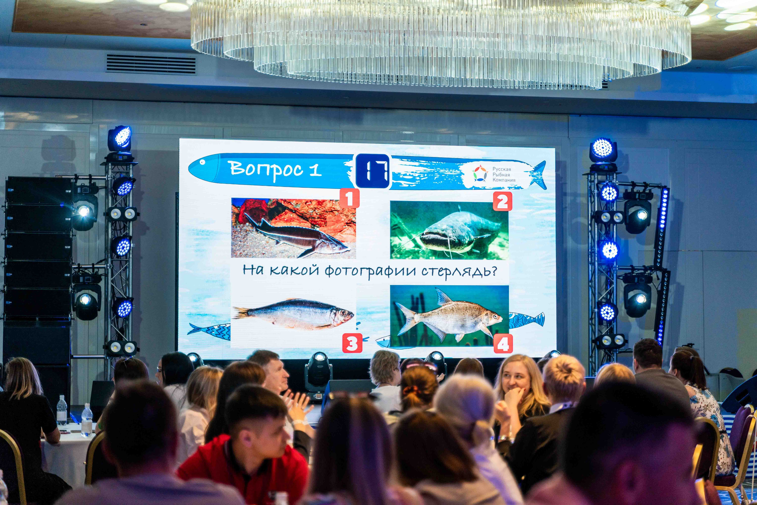 Рыбная компания в Самаре. Фотограф и видеограф в Москве и Абу Даби Мария Кулагина