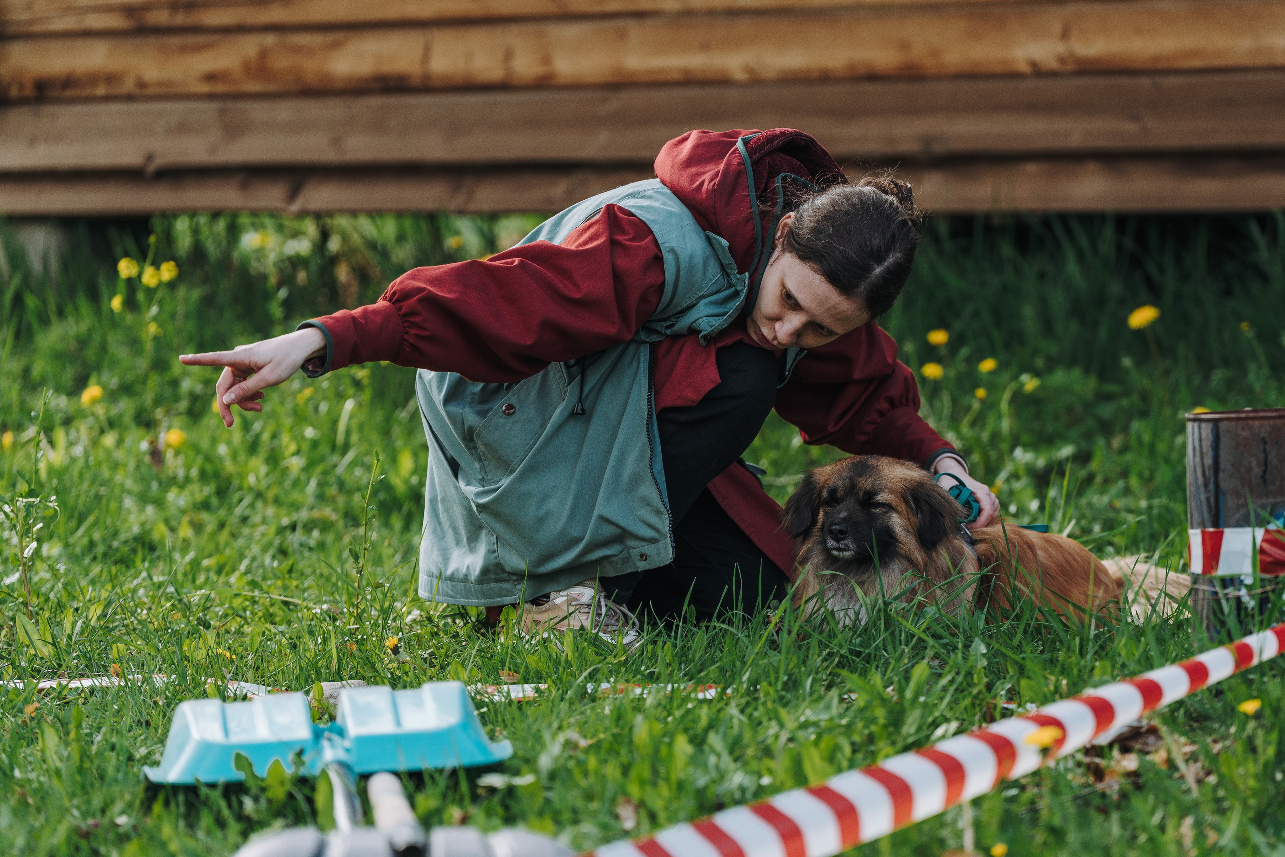 Соревнования по ноузворку в Лосево. Фотограф анималист в Спб недорого Олеся Майорова