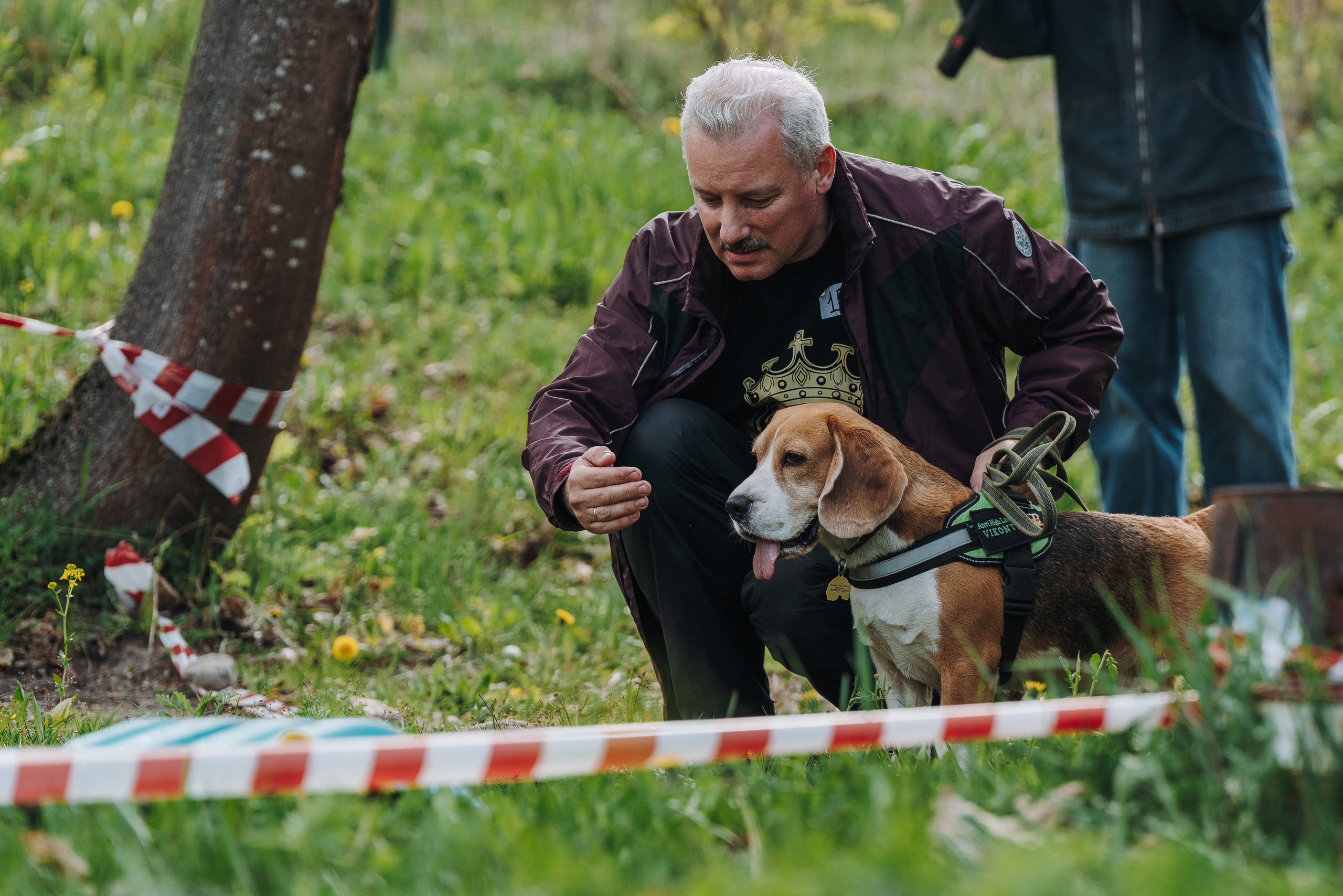 Соревнования по ноузворку в Лосево. Фотограф анималист в Спб недорого Олеся Майорова