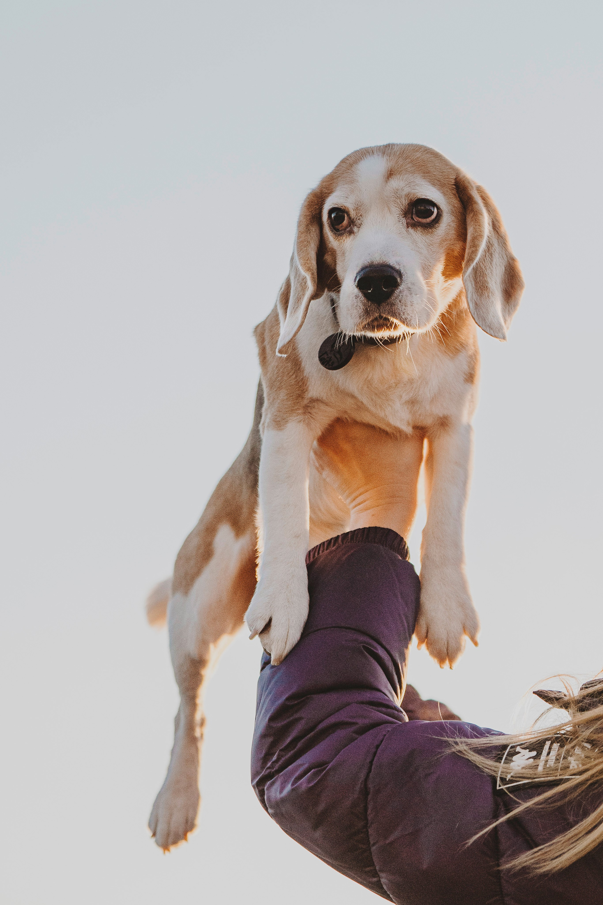 Ксения и Гаечка. Фотограф анималист в Спб недорого Олеся Майорова