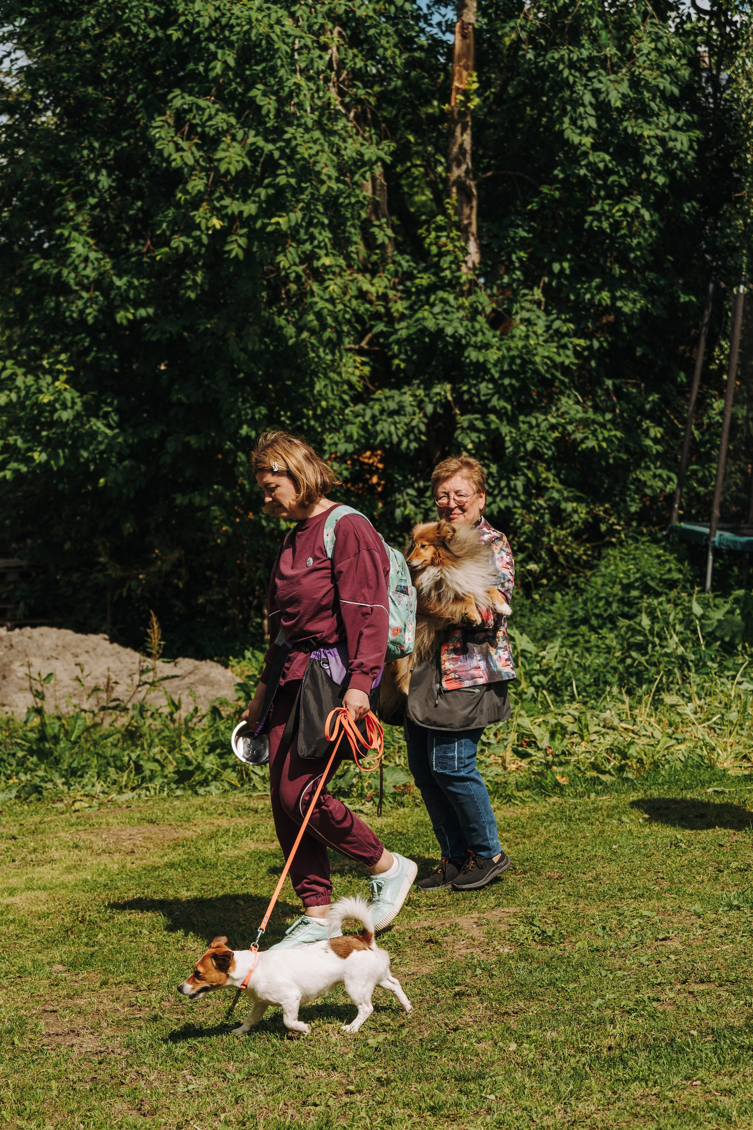 Соревнования по ноузворку. Фотограф анималист в Спб недорого Олеся Майорова