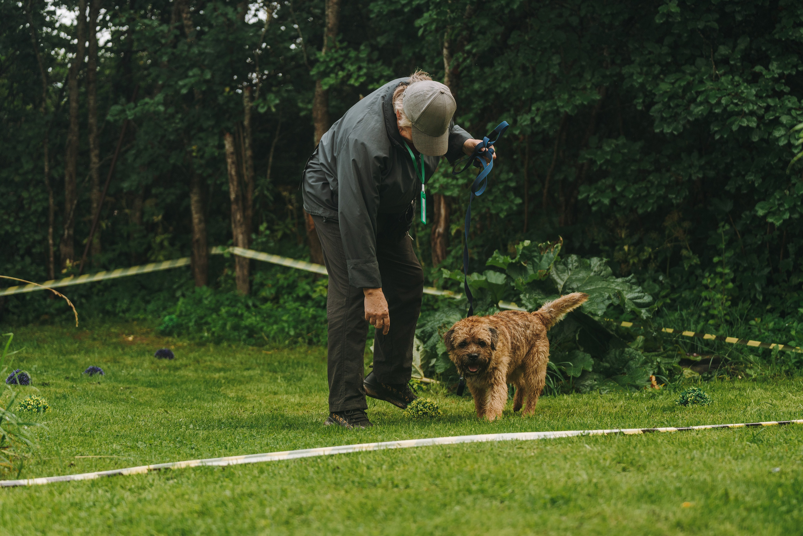 Соревнования по ноузворку в Новожилово. Фотограф анималист в Спб недорого Олеся Майорова