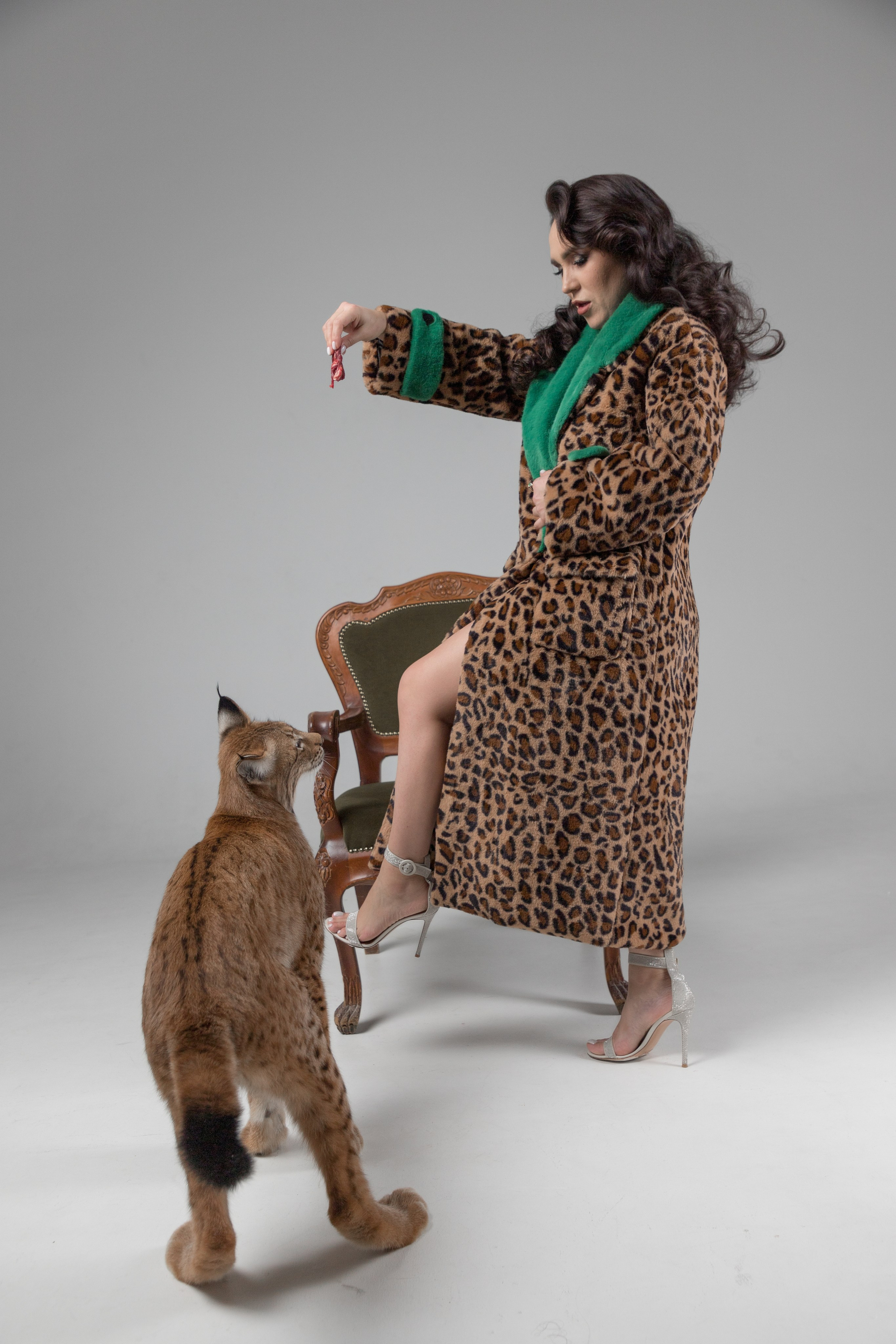 Ужин с хищником. Фотограф Денис Лесковский (Тюмень)