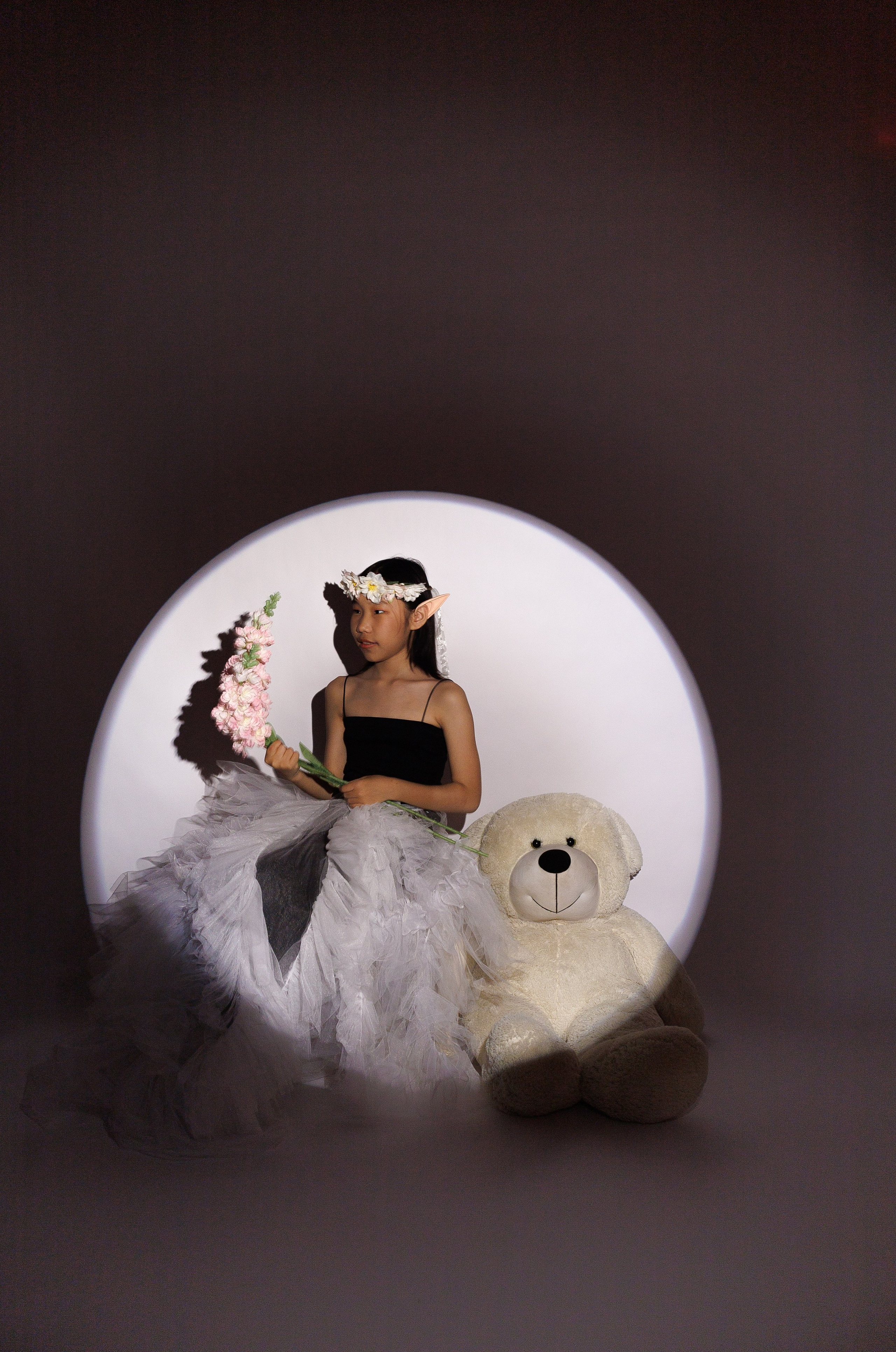 Портфолио. Услуги