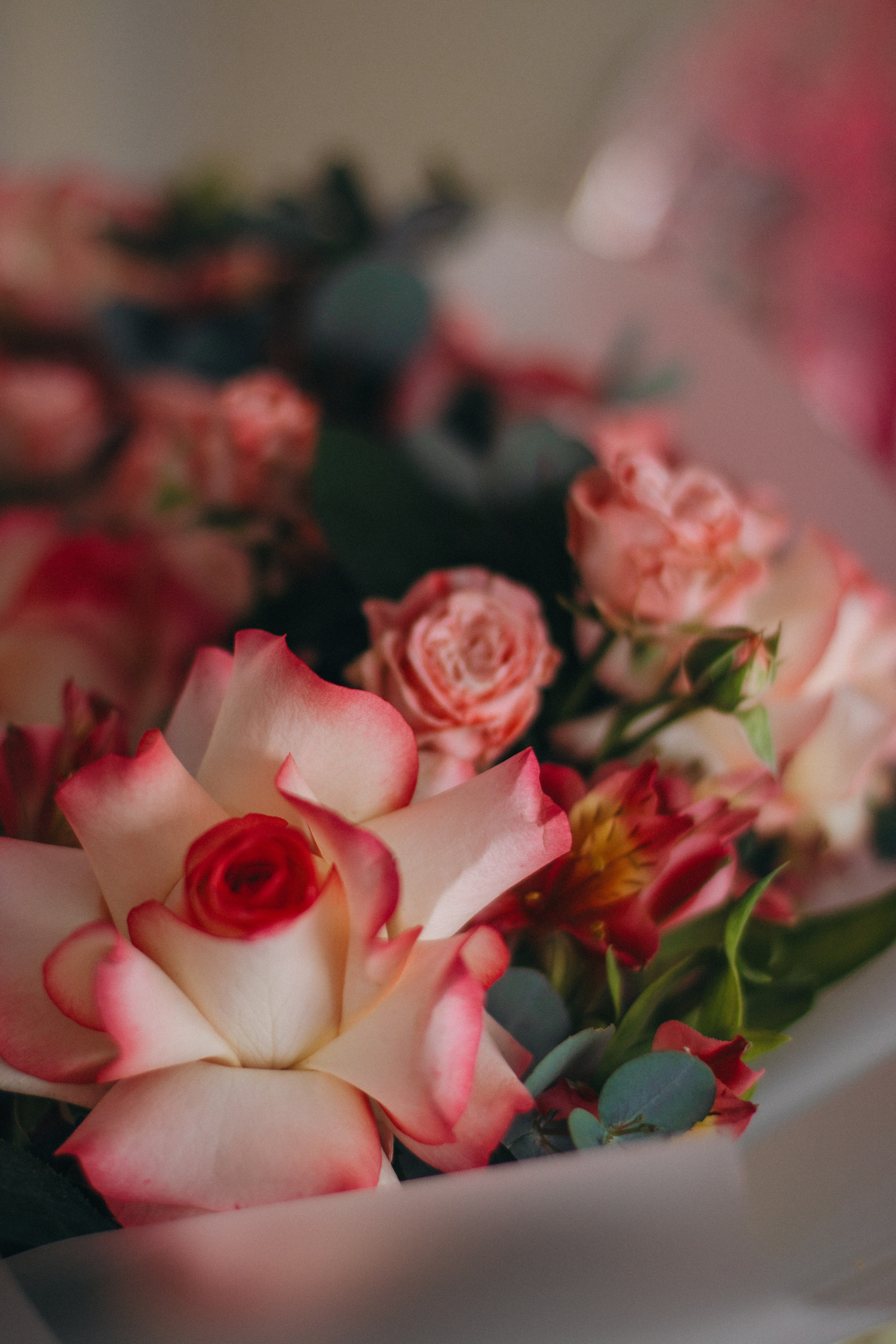 Праздники. Фотограф в Москве и Московской области — Акулина Софья