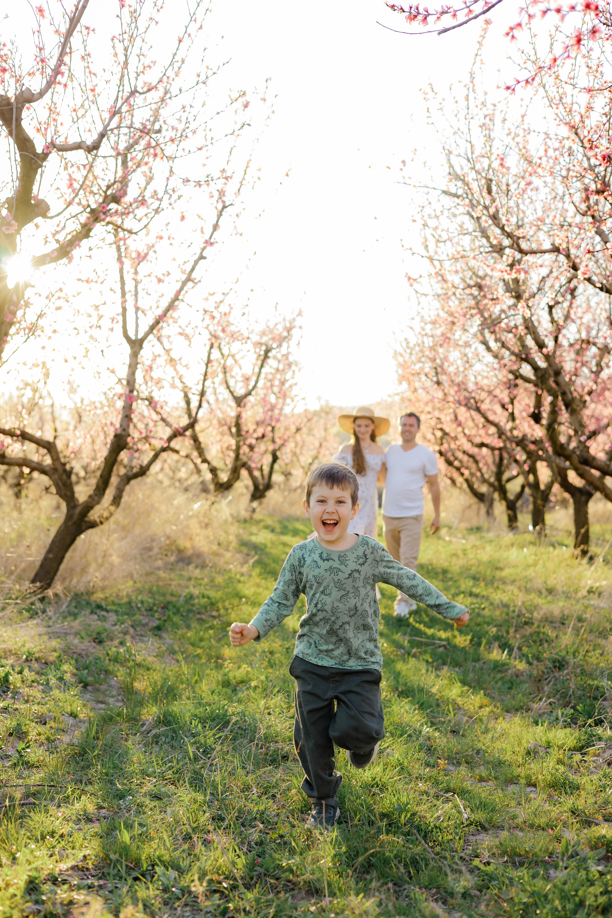 Закат в персиковом саду