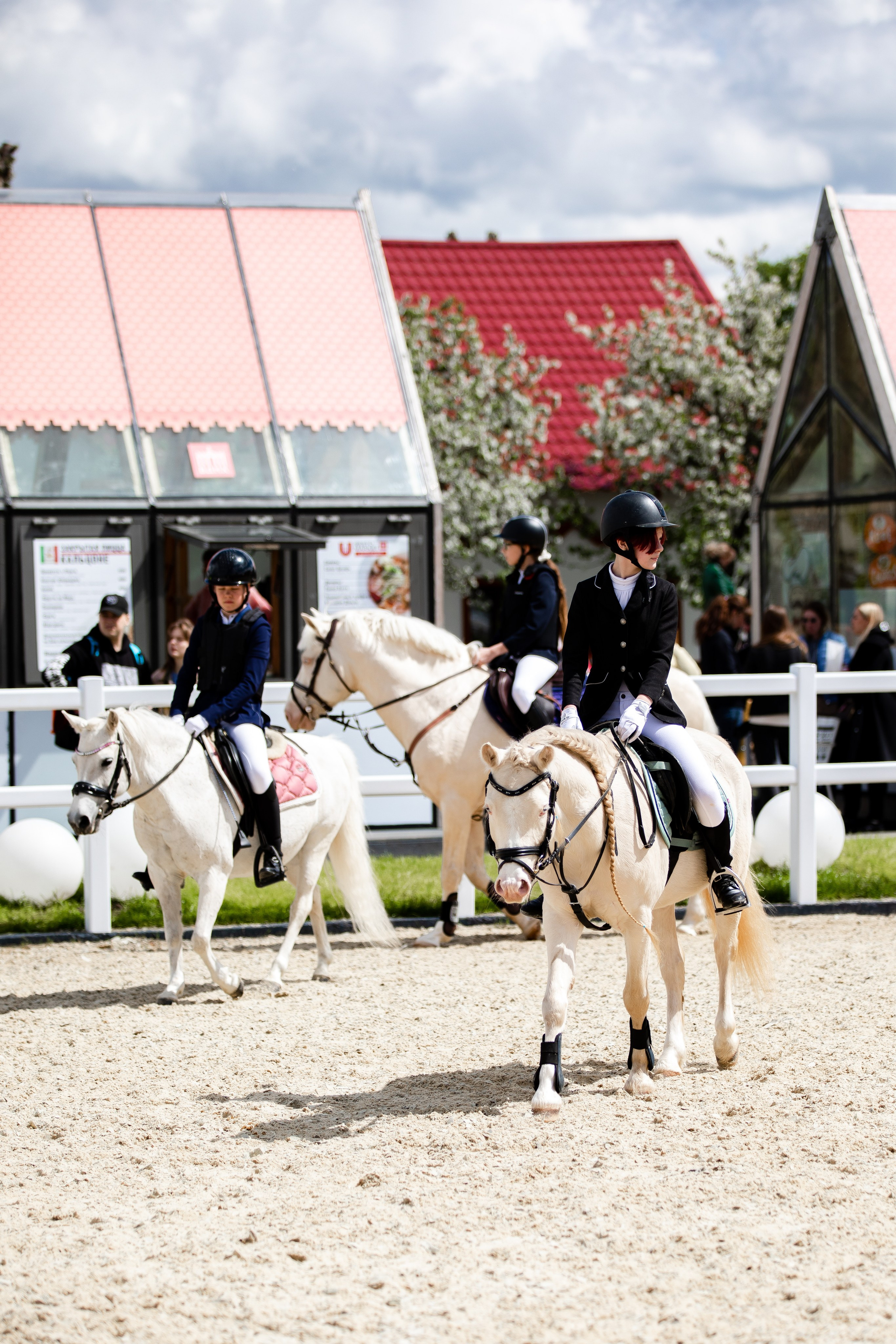 Турниры. Veronika Makeeva horse photo