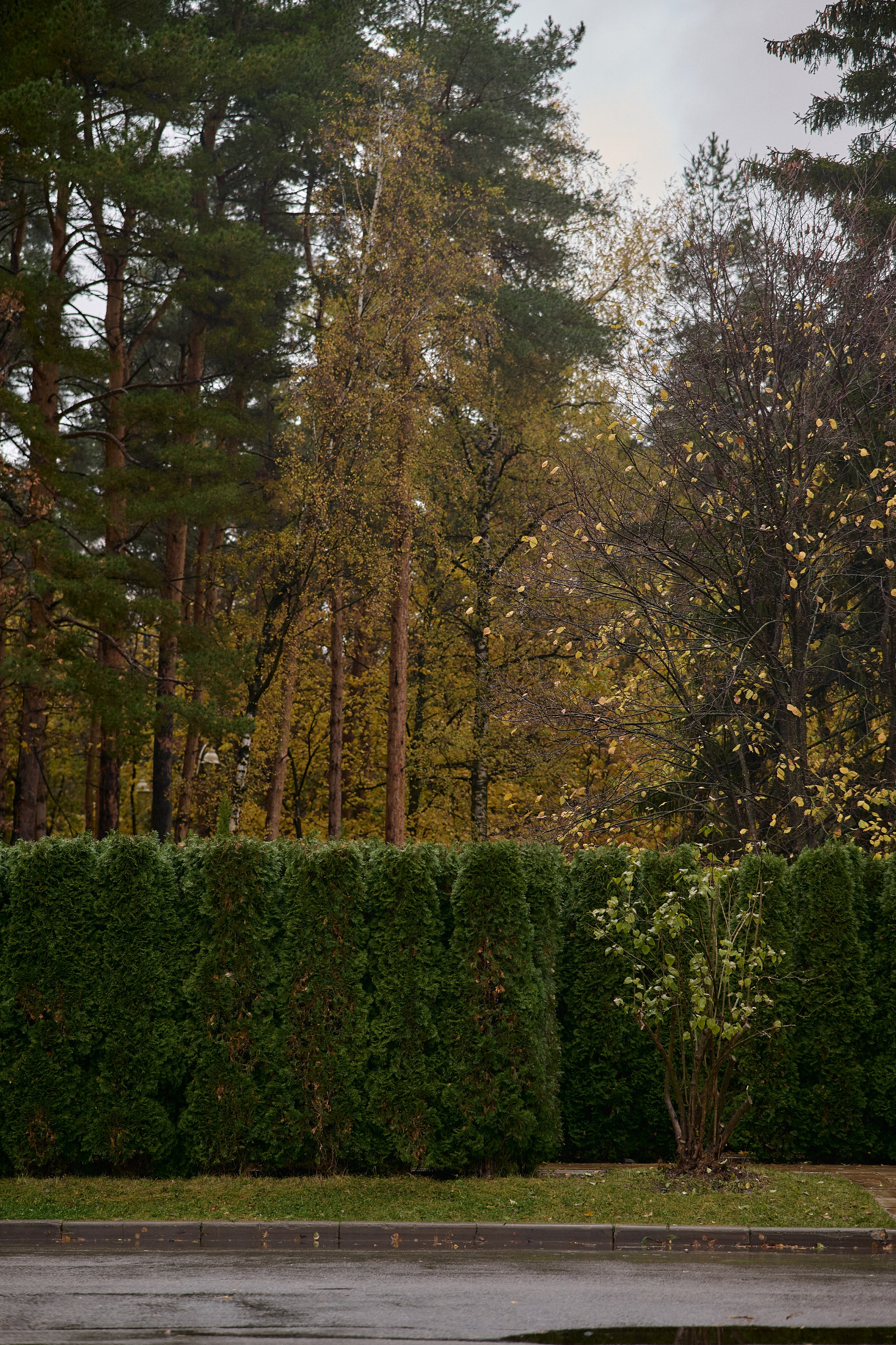 Серёжа и Вика. Семейный и свадебный lifestyle-фотограф в Москве Мария Петрова