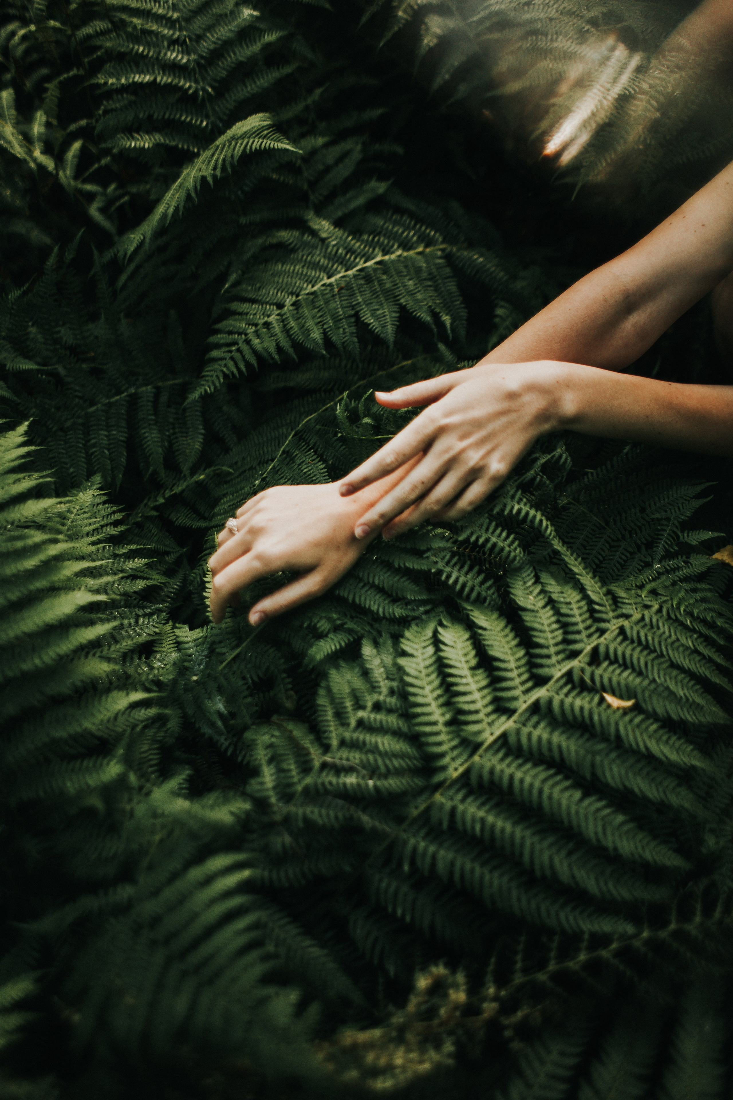 Ирина. Папоротник. Фотограф в Нижнем Новгороде