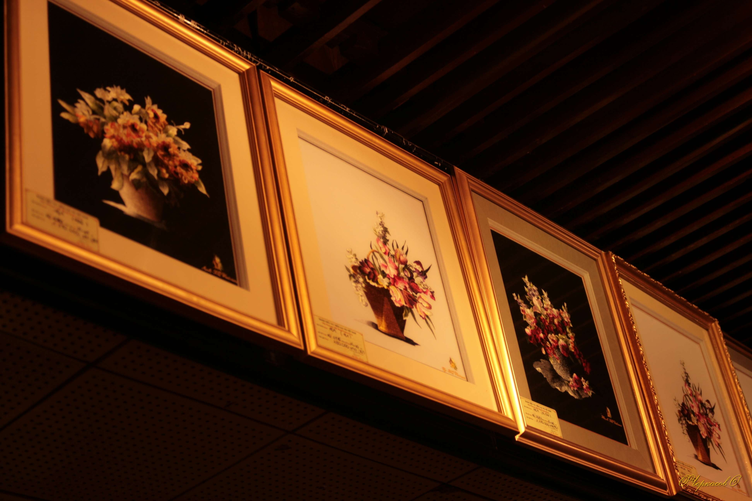 Вьетнам 2008 г. Улица, люди, жизнь…