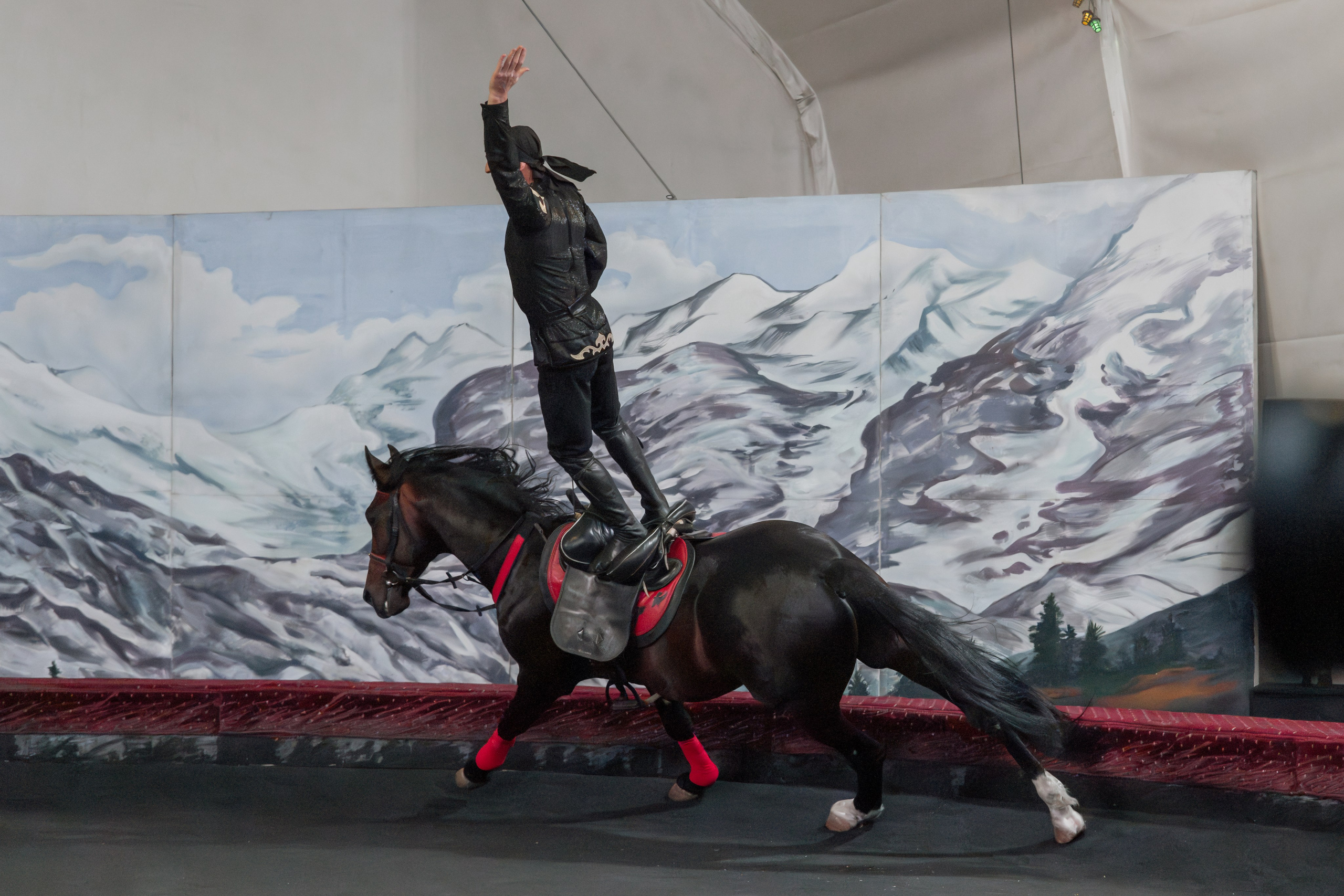 Конный театр «Нарты». Репортажный фотограф в Красной Поляне и Сочи Павлюченко Екатерина