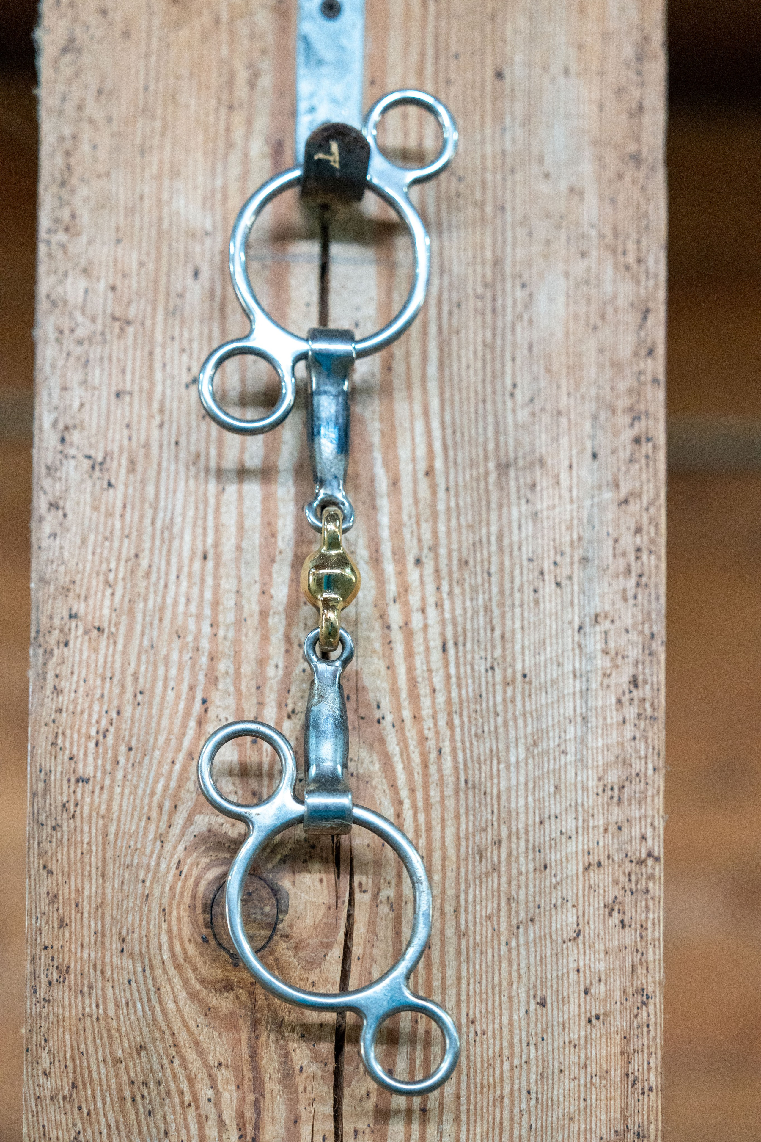 MICE мероприятие на ферме Экзархо. Репортажный фотограф в Красной Поляне и Сочи Павлюченко Екатерина