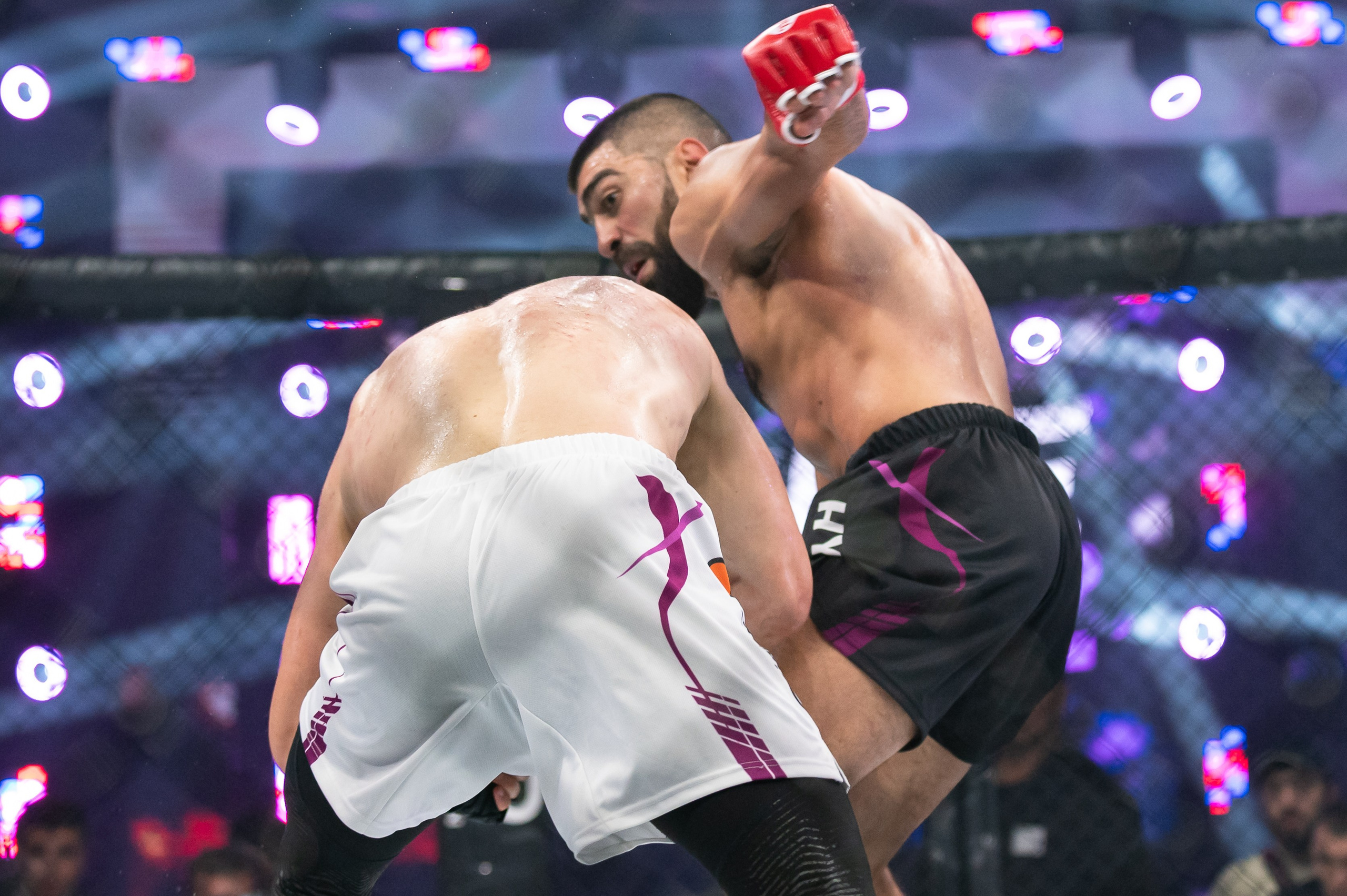 Бои. Репортажный фотограф в Красной Поляне и Сочи Павлюченко Екатерина