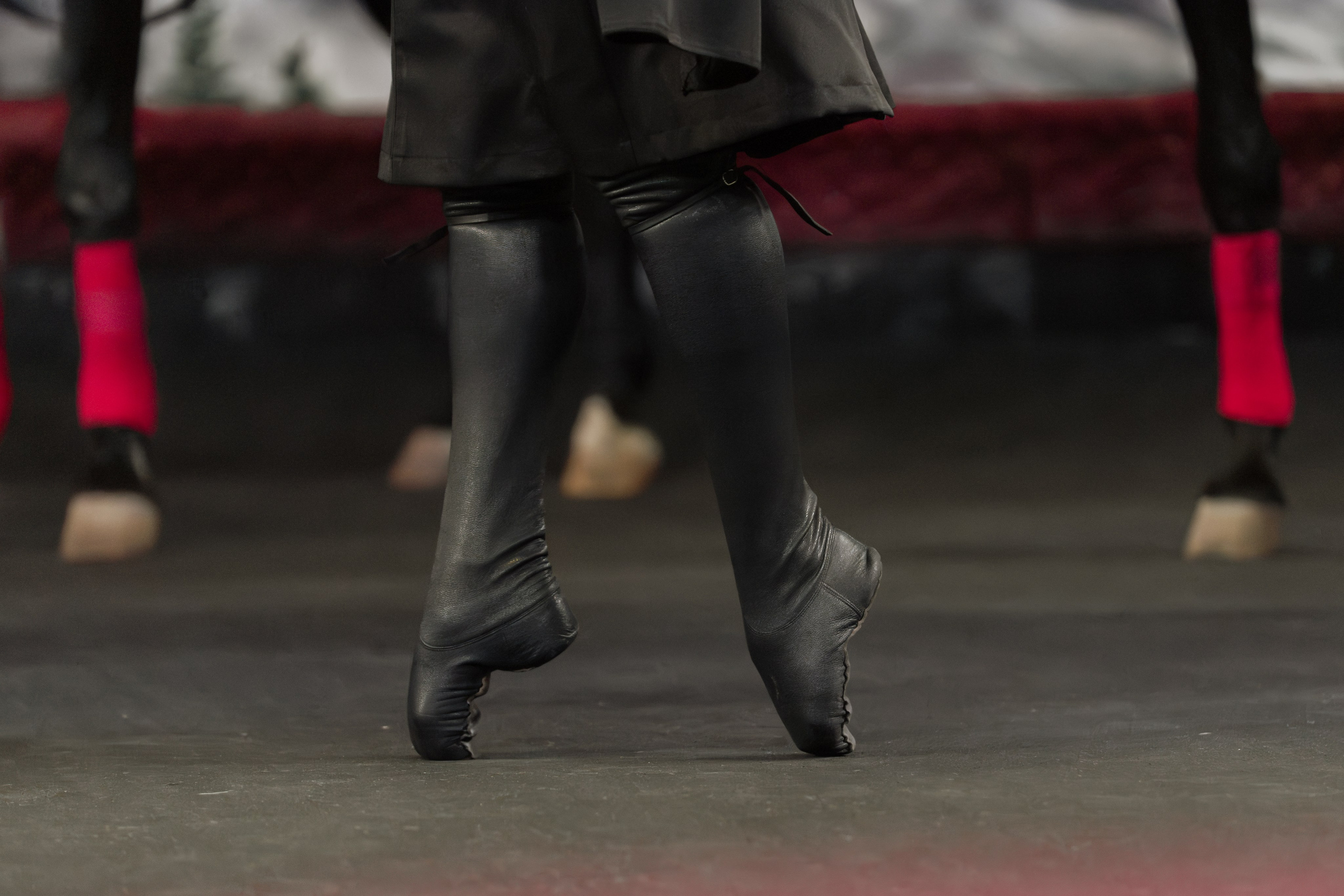 Конный театр «Нарты». Репортажный фотограф в Красной Поляне и Сочи Павлюченко Екатерина